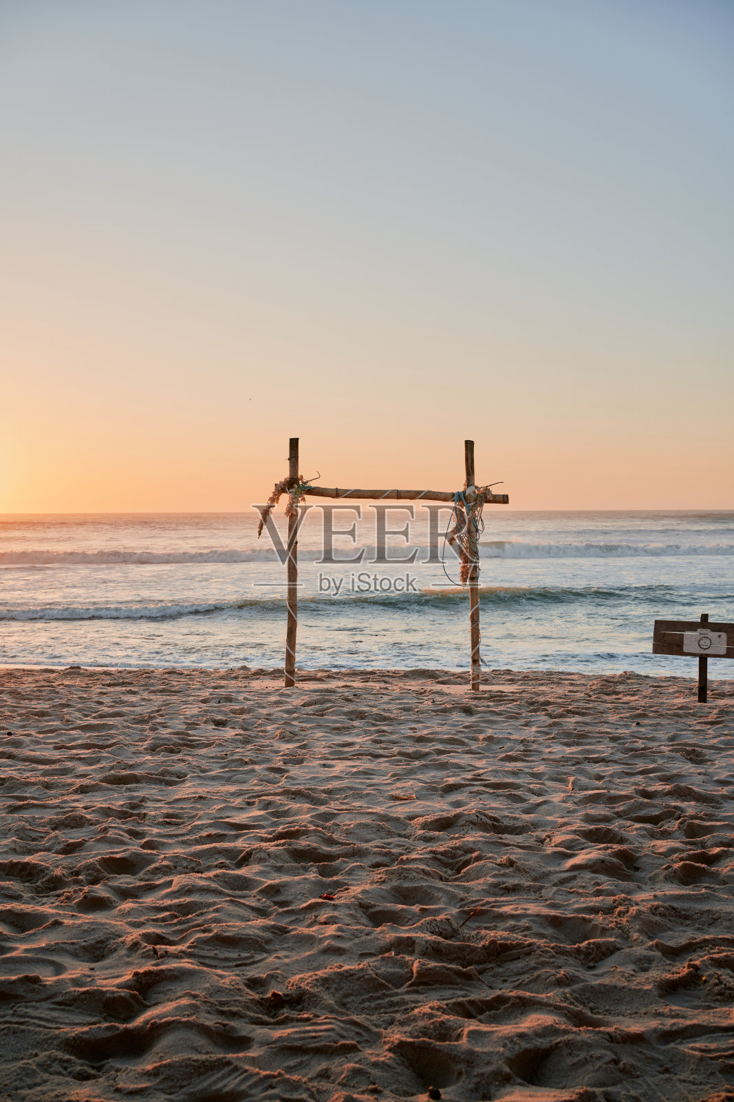 海滩上的树林照片摄影图片