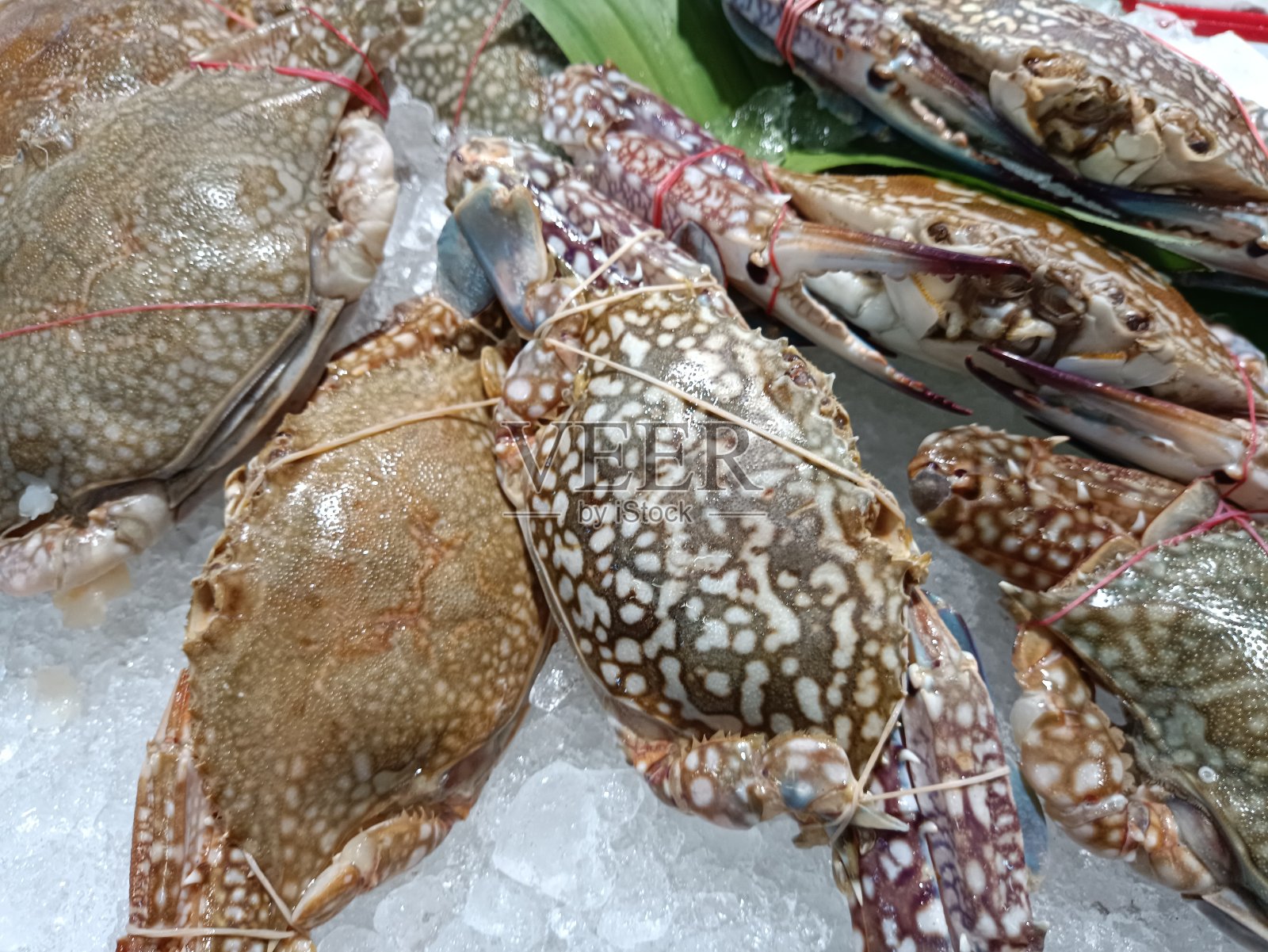 冰鲜蟹照片摄影图片