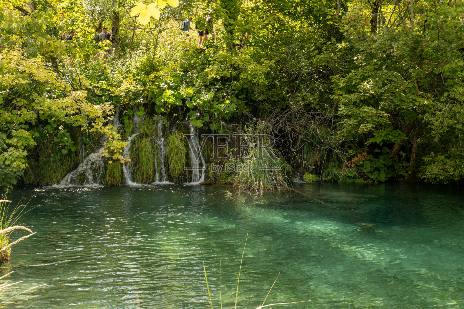 克罗地亚Plitvice国家公园的湖泊照片摄影图片