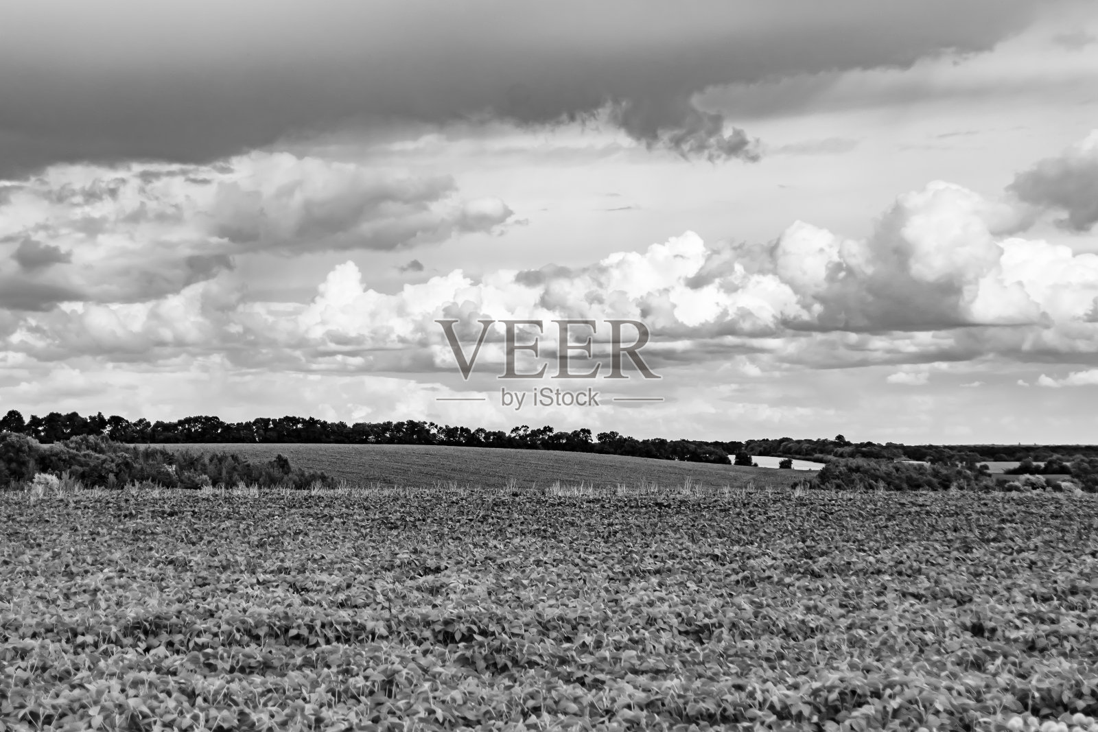 美丽的地平线风景在村庄草地上的颜色自然背景照片摄影图片
