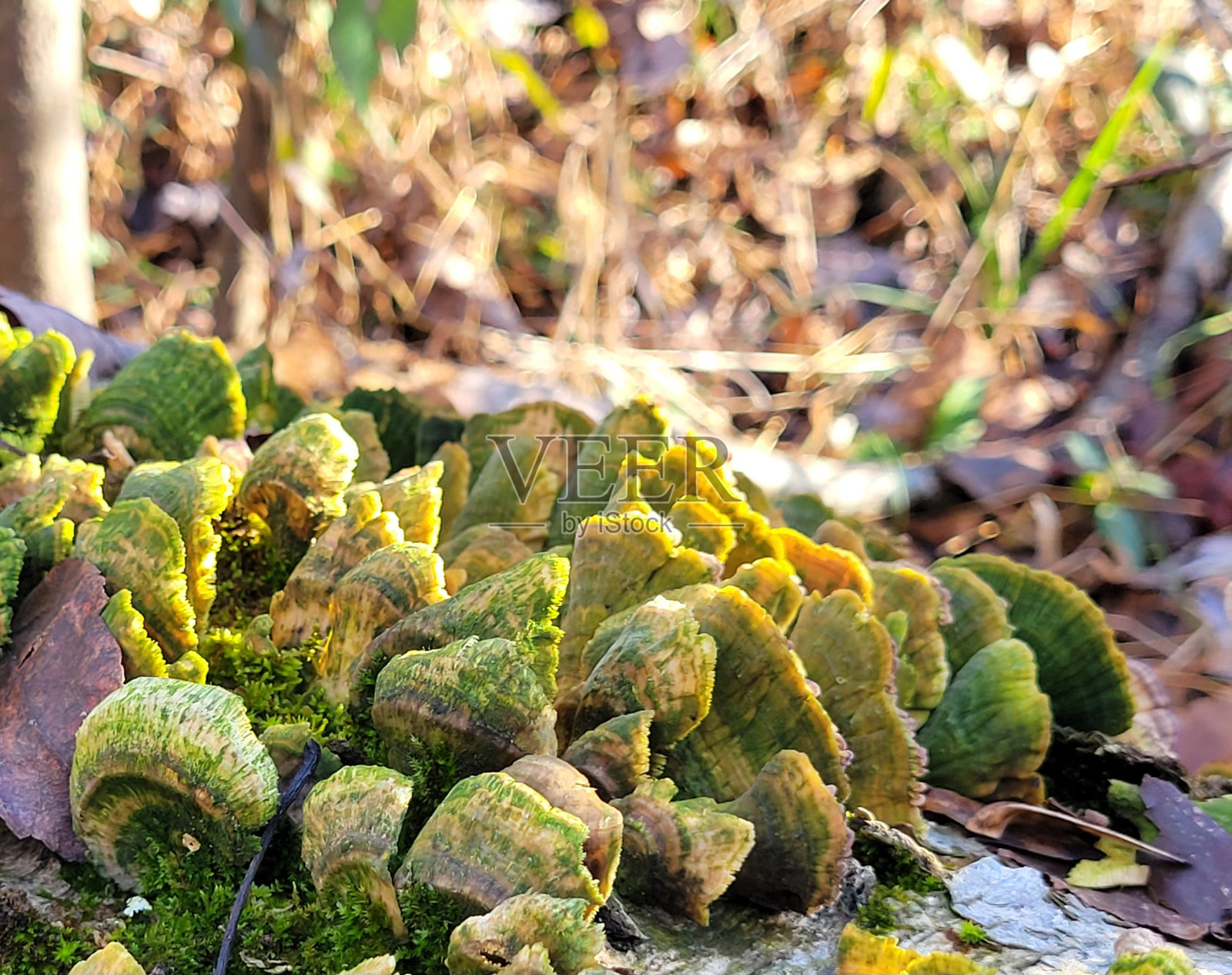 地底照片摄影图片