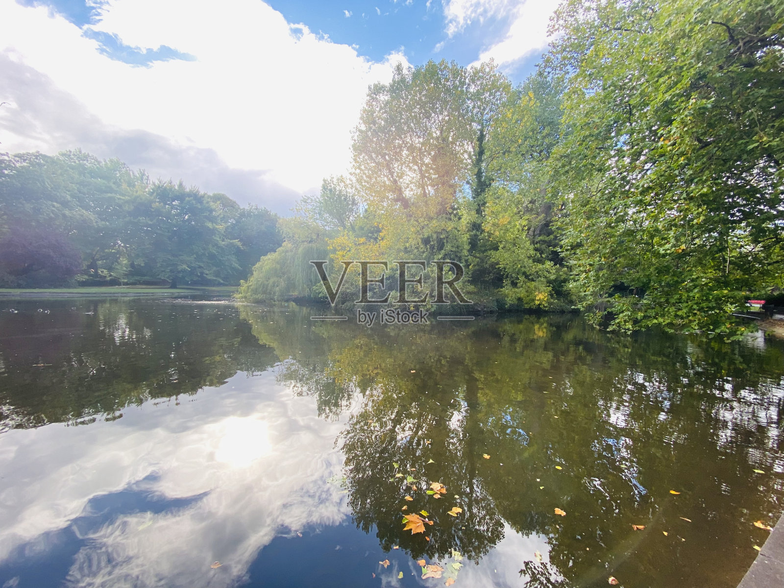 爱尔兰都柏林圣斯蒂芬绿地公园的阳光美景照片摄影图片