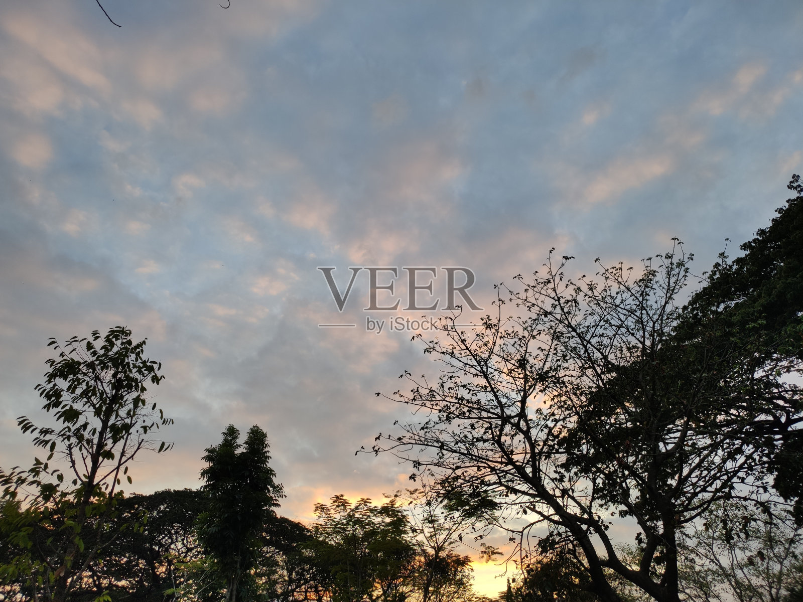 日落1照片摄影图片