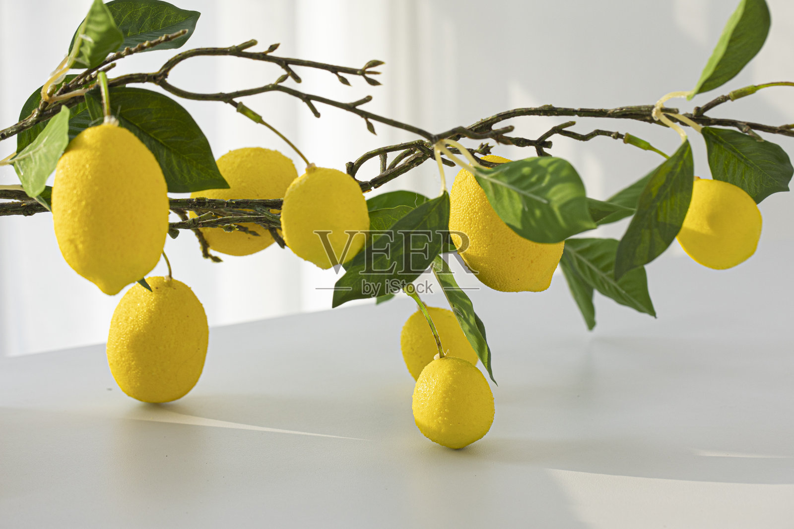 柠檬树和成熟的水果在白色的桌子上。照片摄影图片