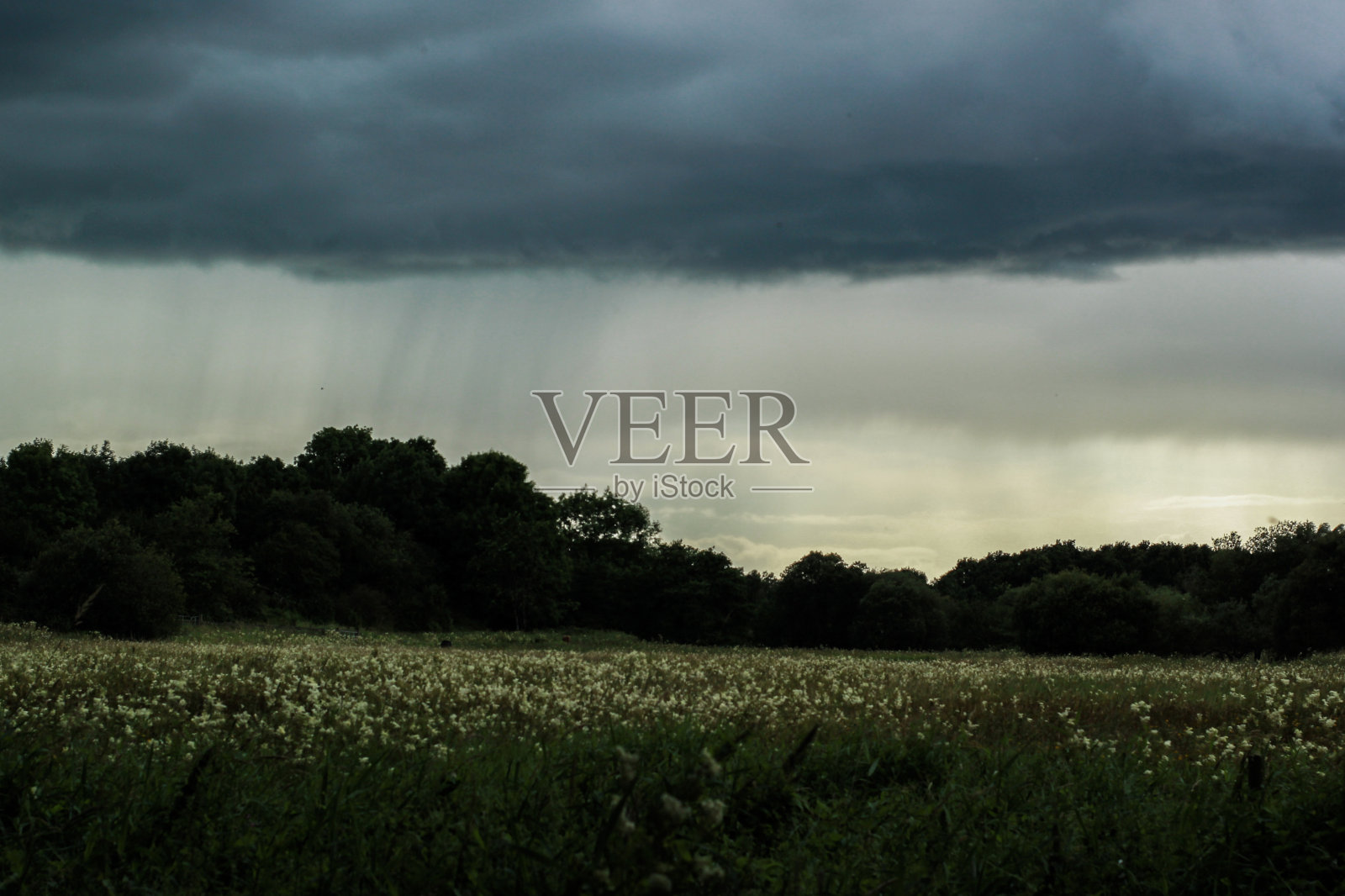 暴风雨来临前照片摄影图片