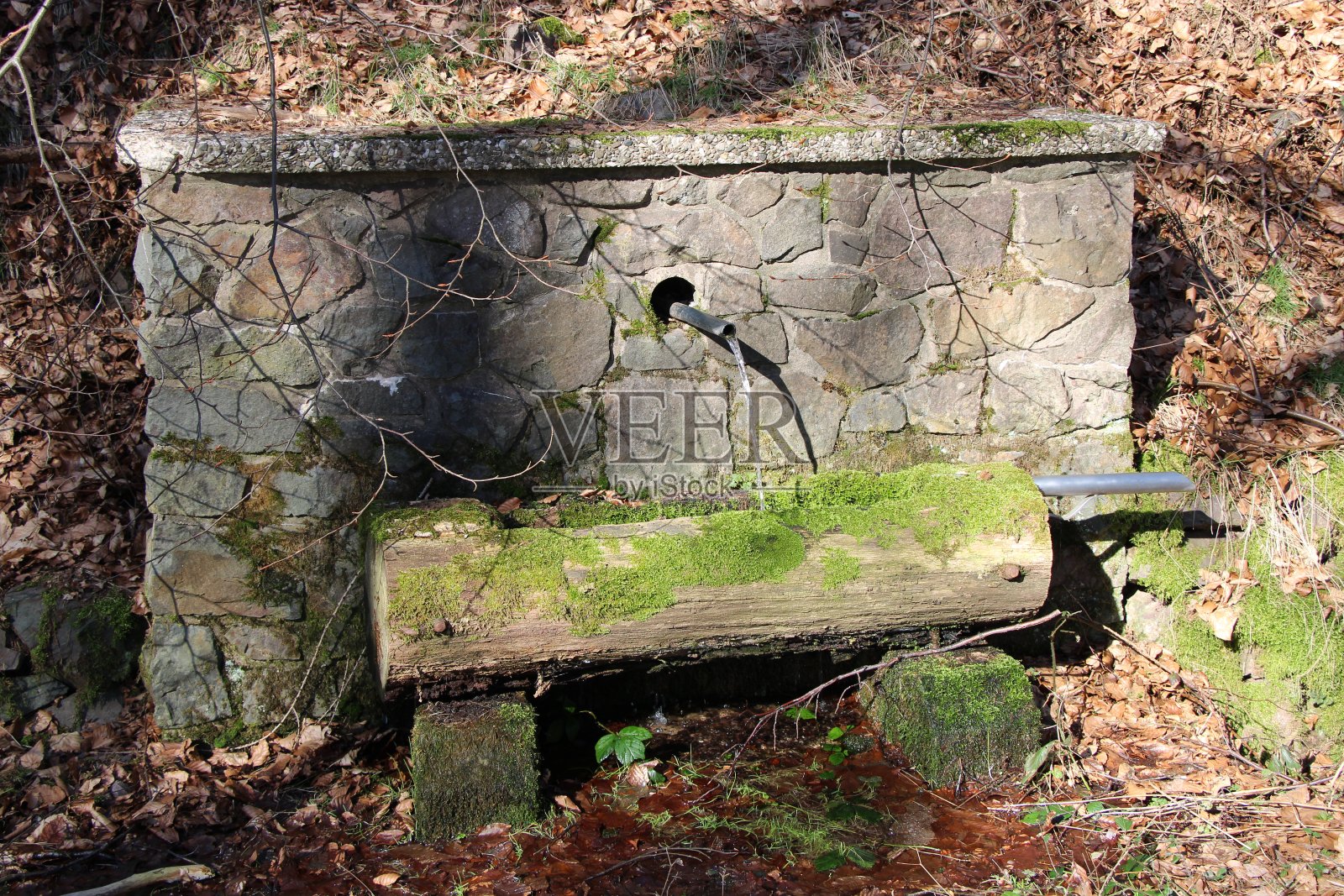 哈兹山脉徒步小径旁的泉水照片摄影图片