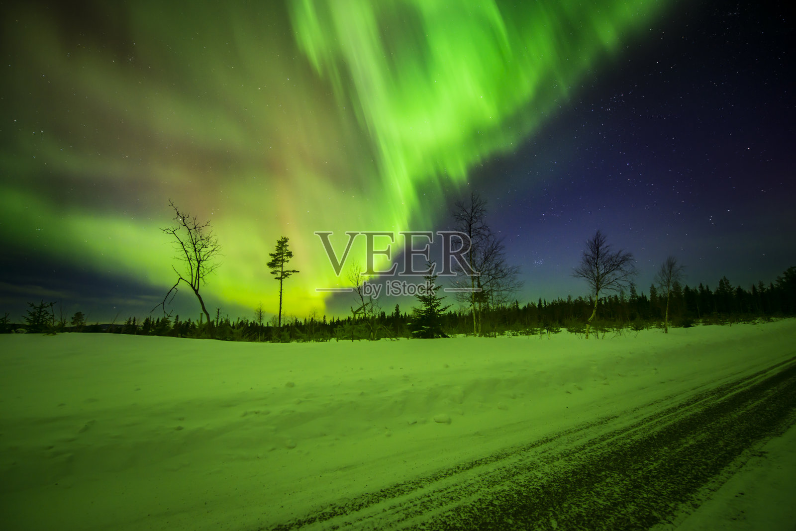 极光照耀,瑞典森林景观。照片摄影图片