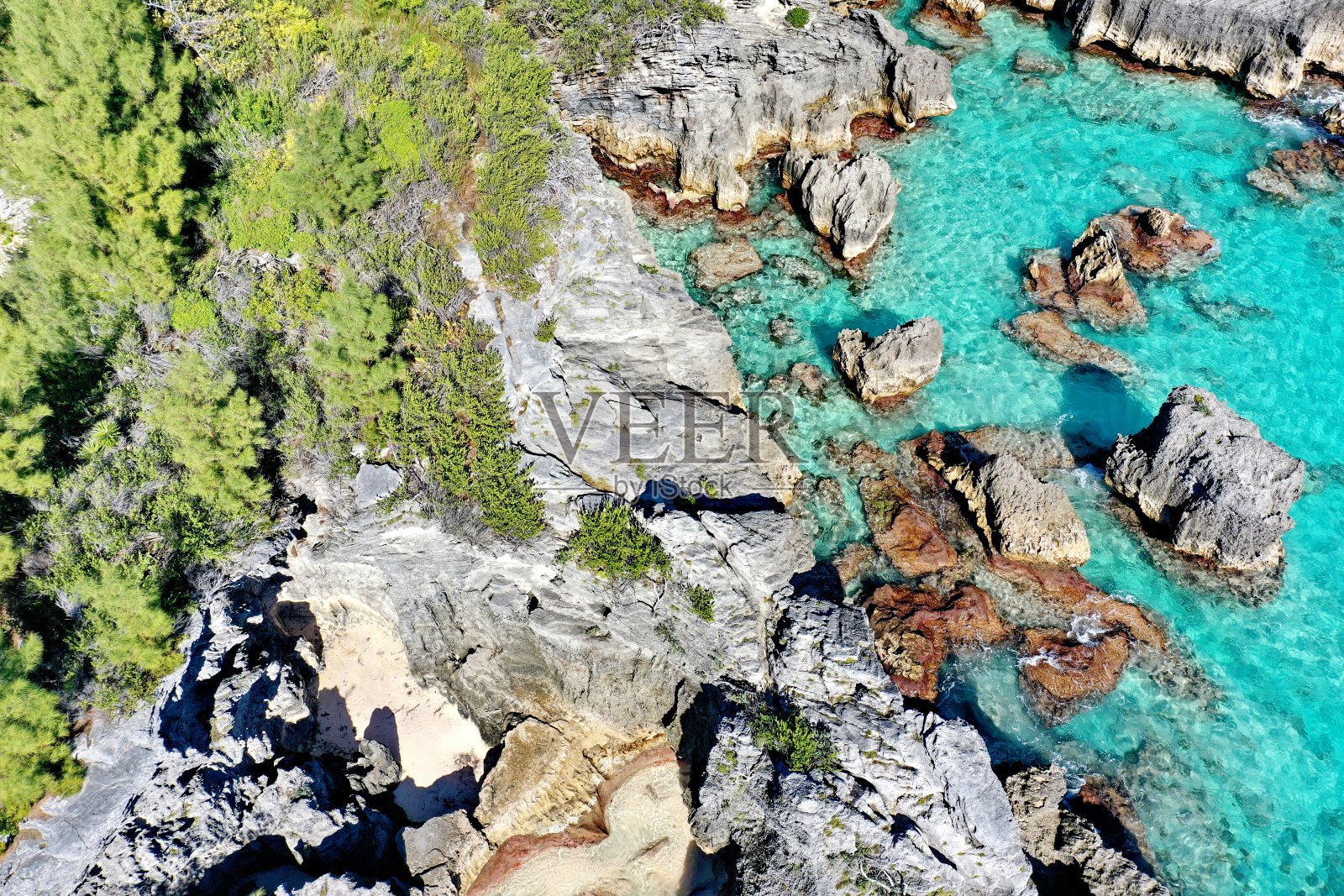 百慕大热带群岛照片摄影图片