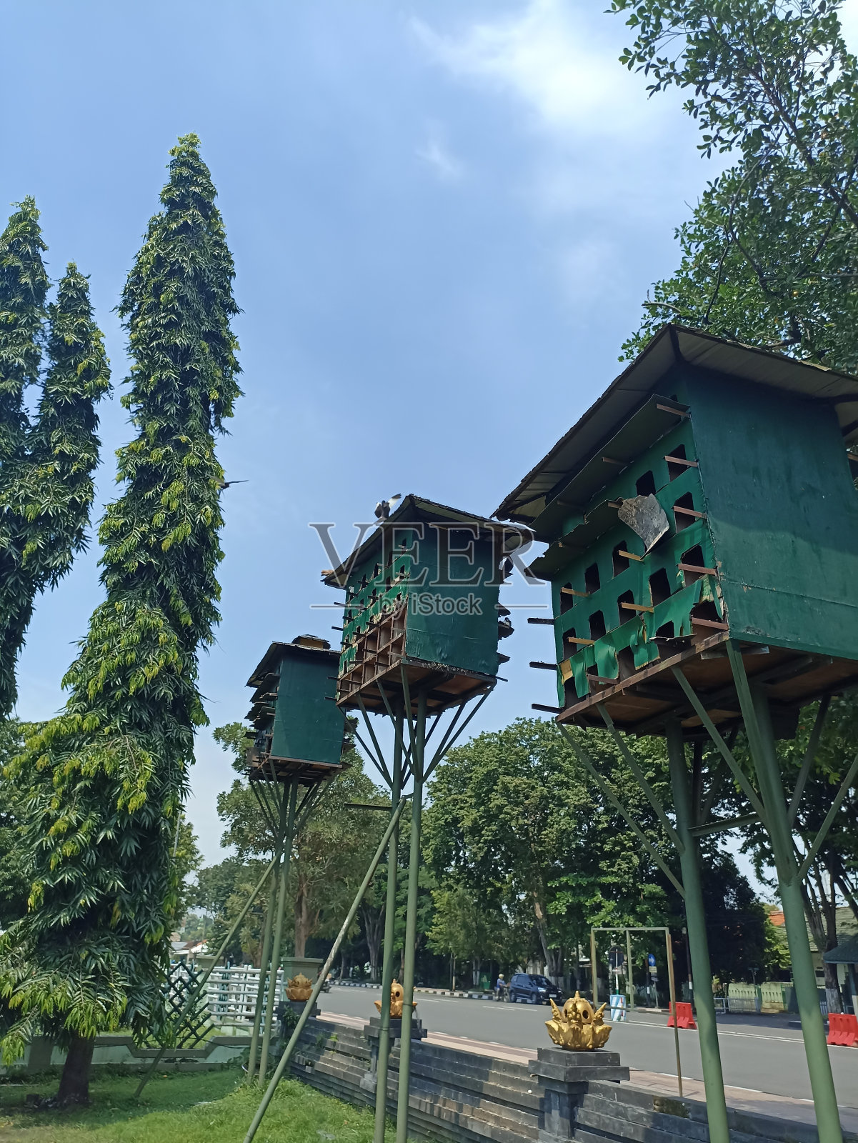 鸽子阁楼。照片摄影图片