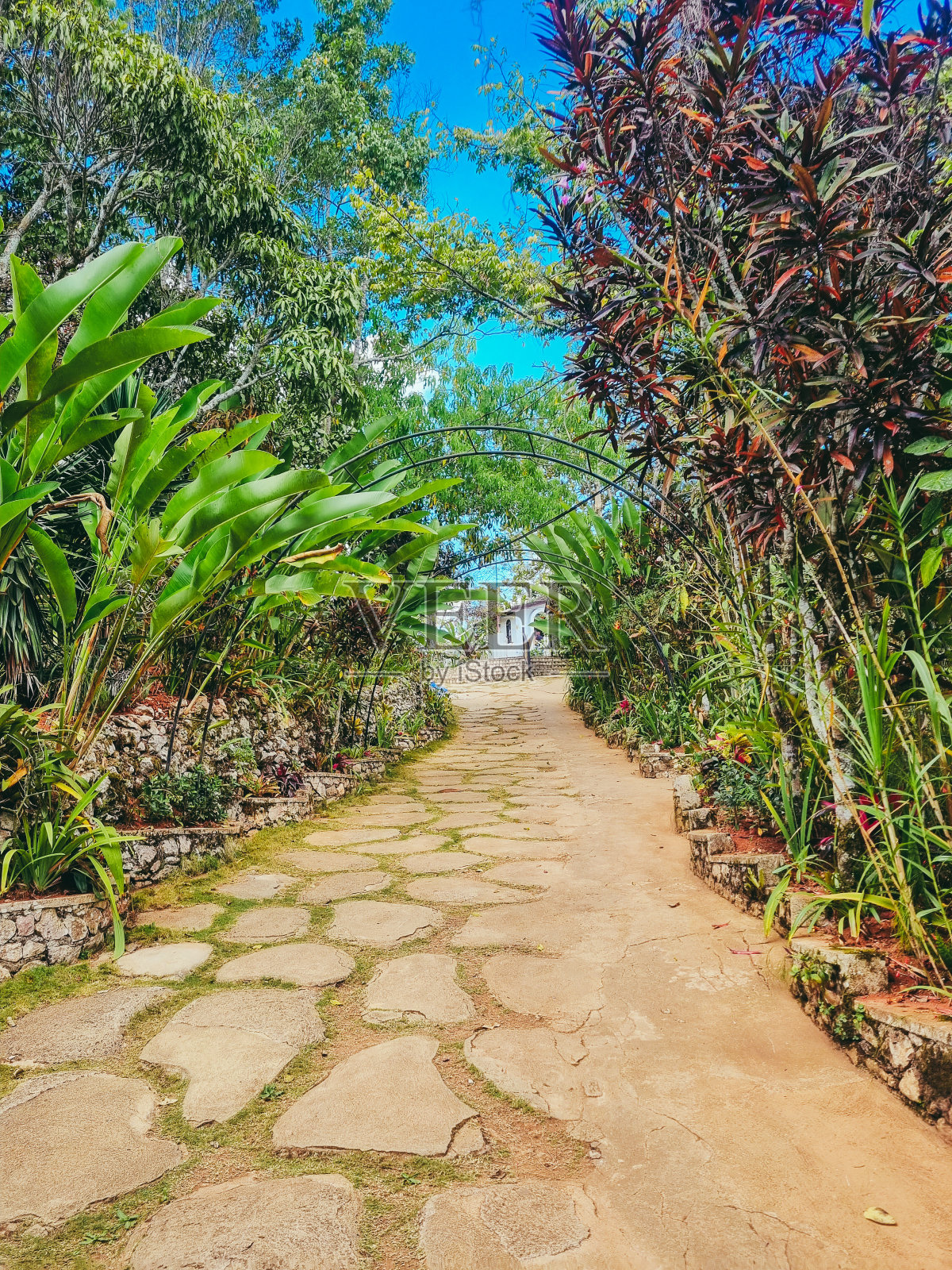 热带牌坊径照片摄影图片