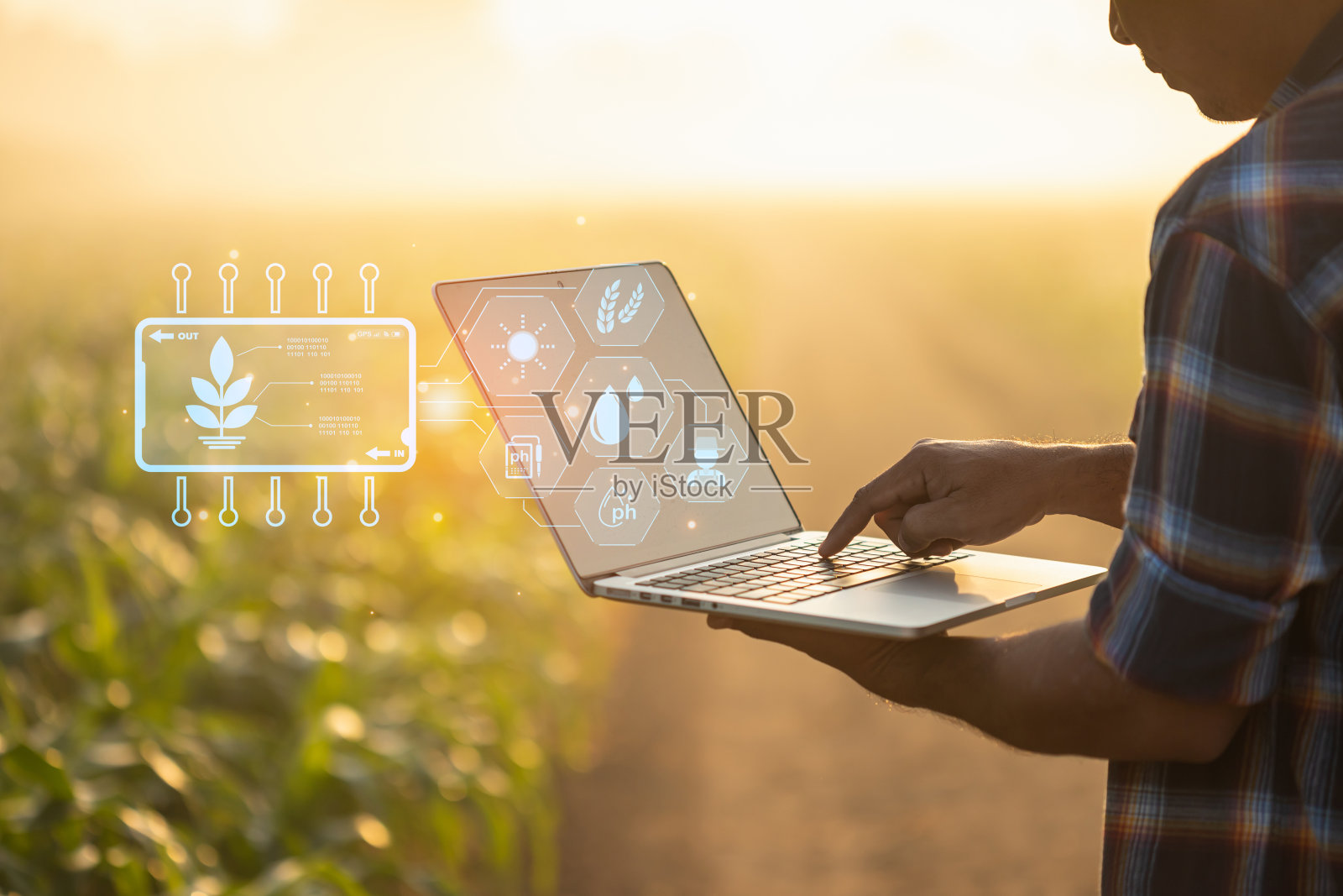 农民使用数字平板电脑在玉米作物种植领域与智能农业界面图标和光耀斑日落效果。智能农业新技术经营理念。照片摄影图片