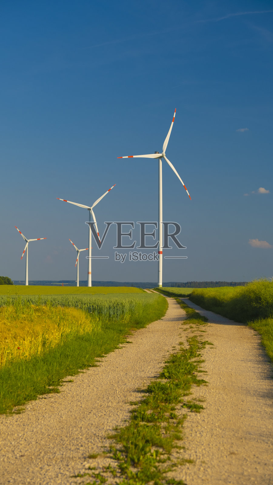 绿色可再生能源。成熟的小麦和风车。风能。麦田里的风力发电机。电力和绿色能源的概念。照片摄影图片