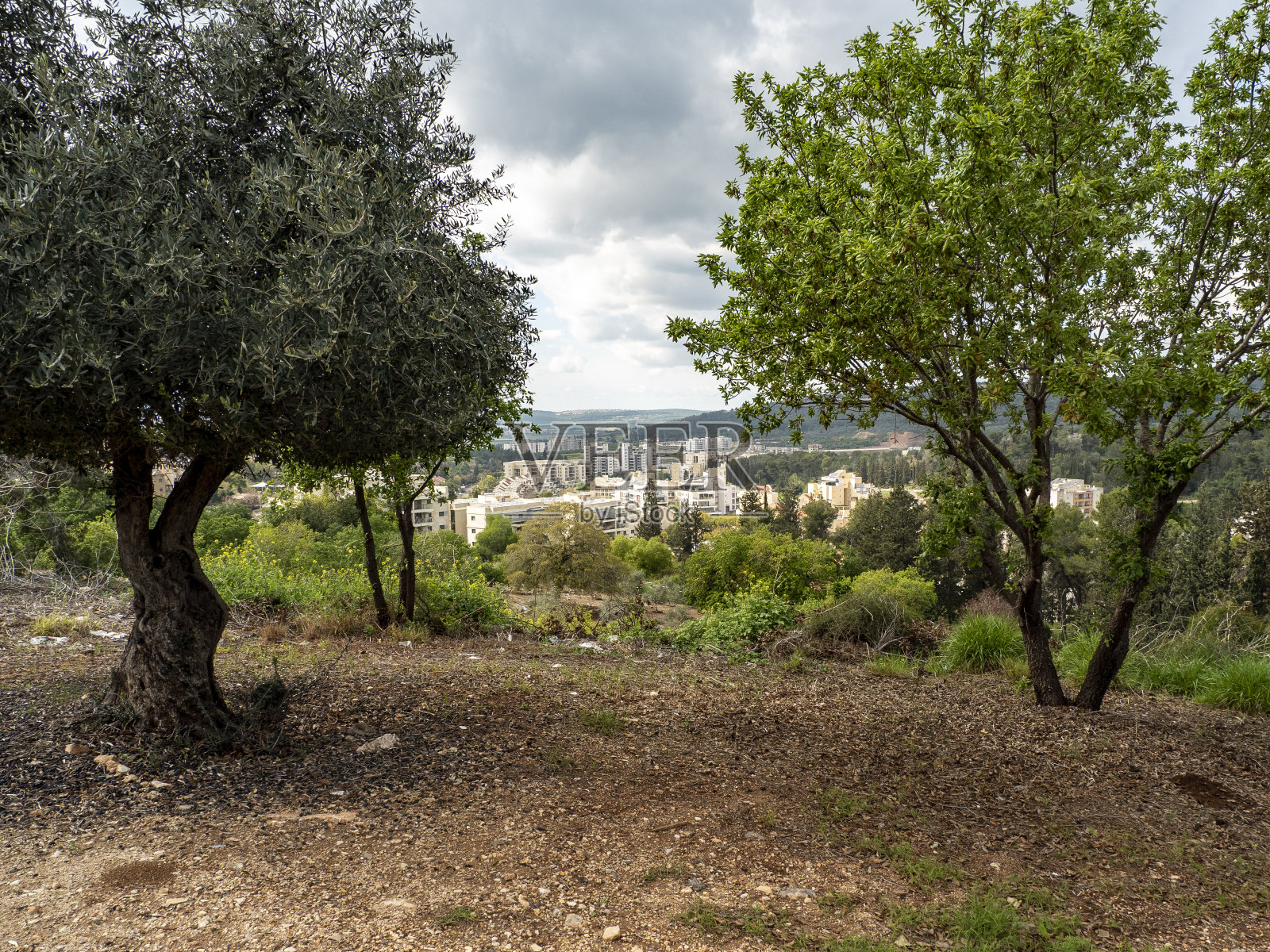 Migdal Haemek 市景, Migdal Haemek照片摄影图片