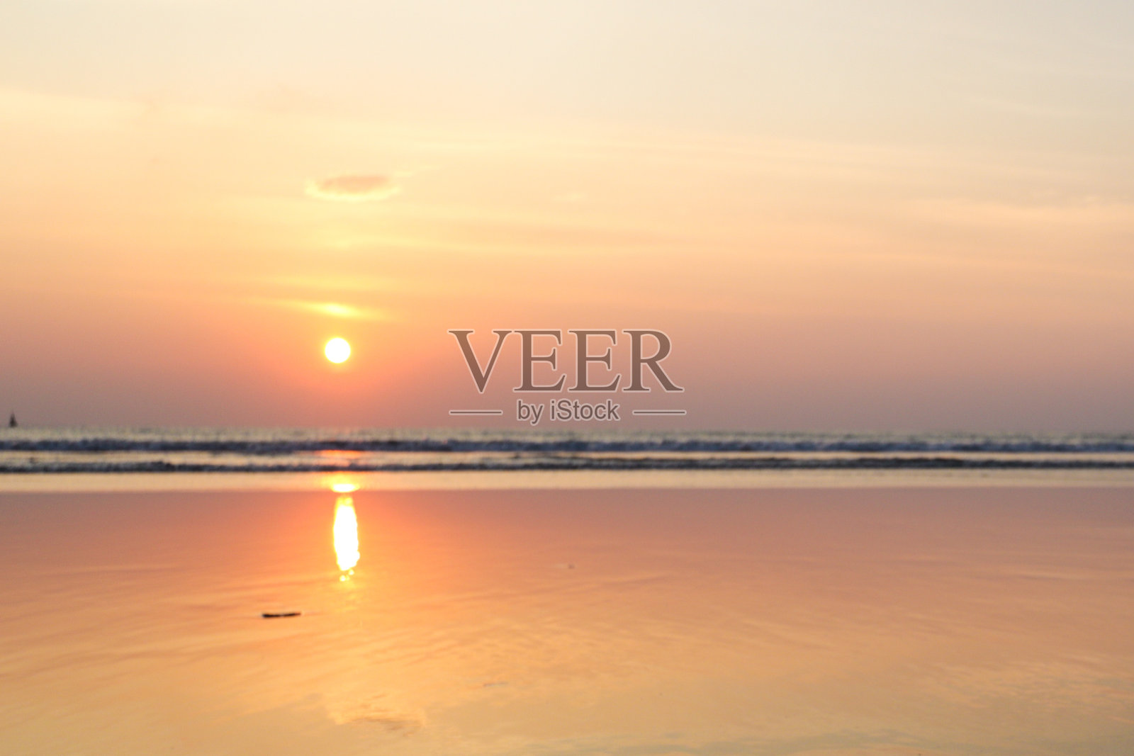 日落时沙滩上海龟的高角度视图照片摄影图片