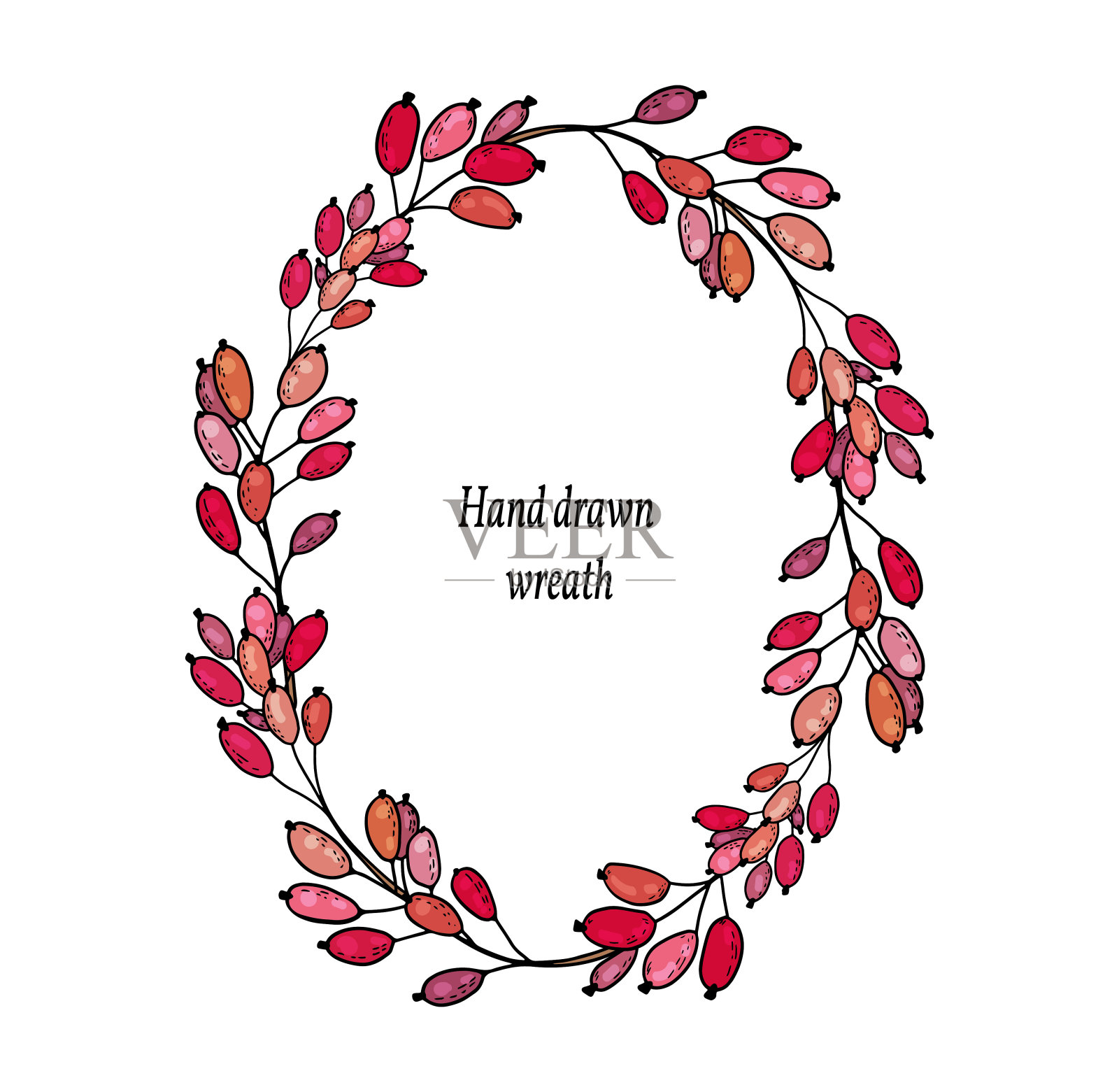 手绘可爱的植物框架树枝与红色浆果的巴贝,蔓越莓,越橘插画图片素材