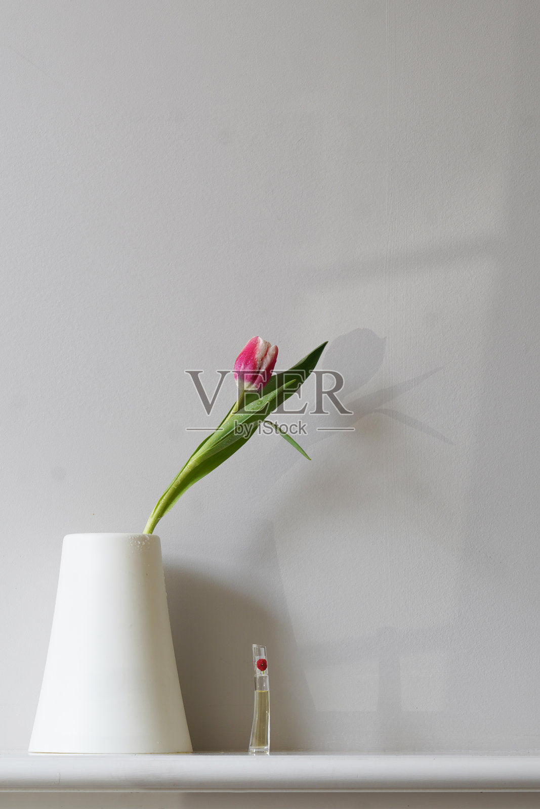 花瓶里的郁金香照片摄影图片