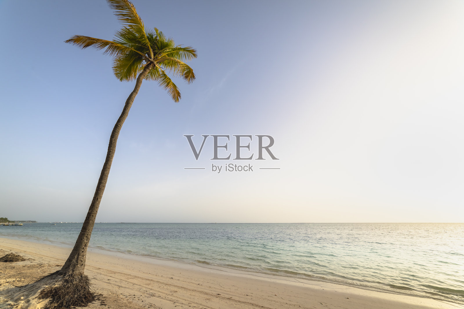 多米尼加共和国蓬塔卡纳岛Saona岛的加勒比热带海滩照片摄影图片