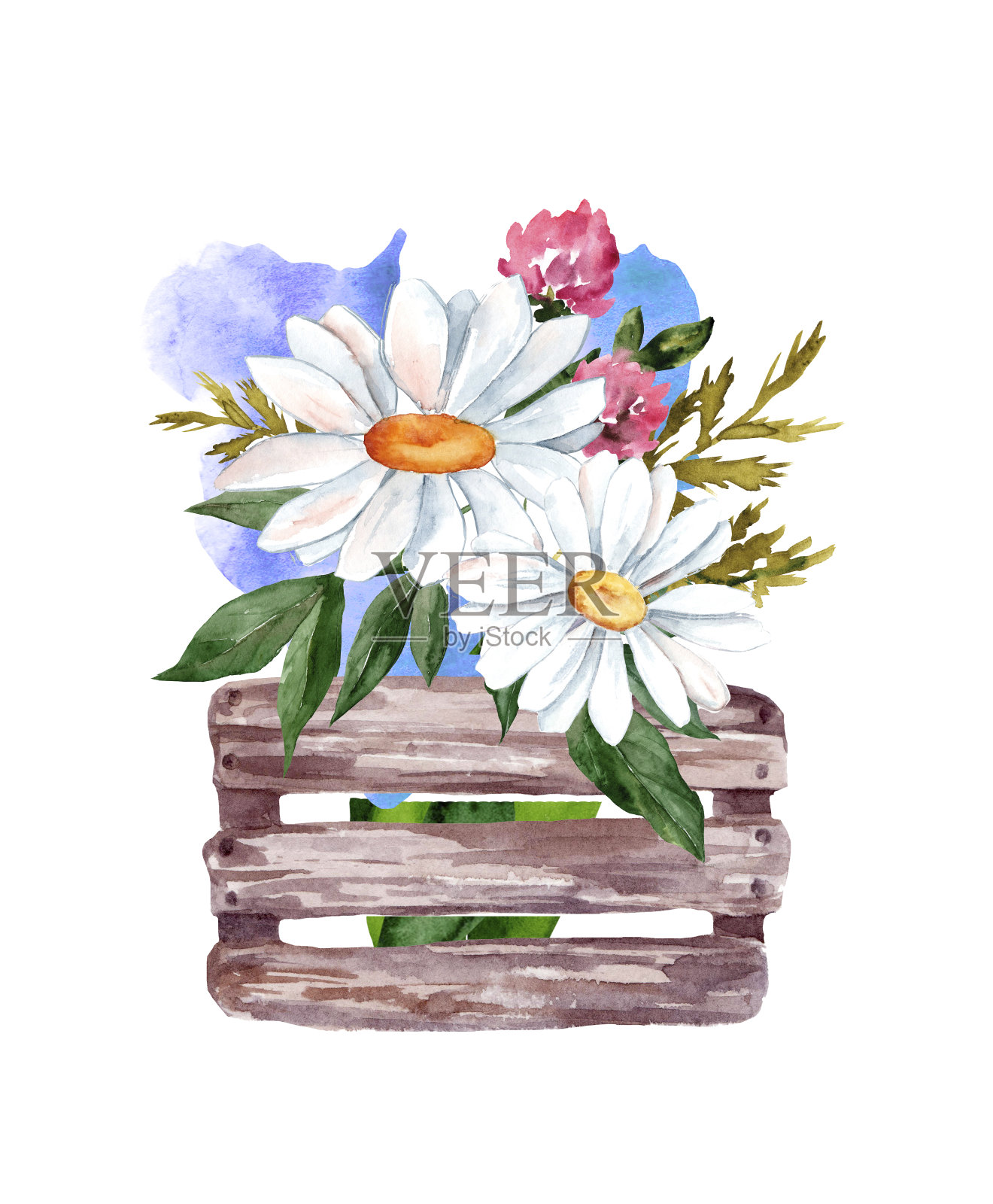 木盒子,一束夏天的野花插画图片素材