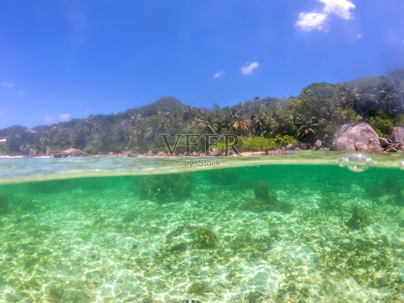 安斯皇家海岸的分裂水下视图照片摄影图片