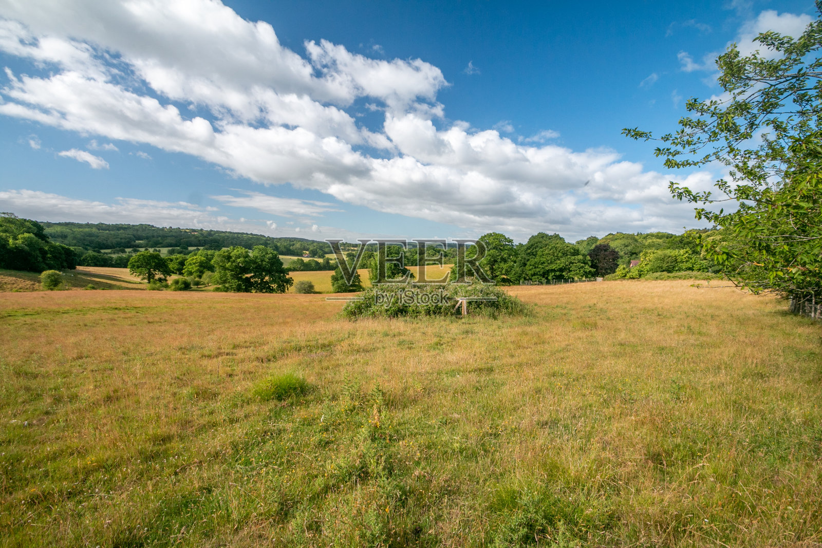 英格兰东苏塞克斯的Eridge Green上的积云照片摄影图片