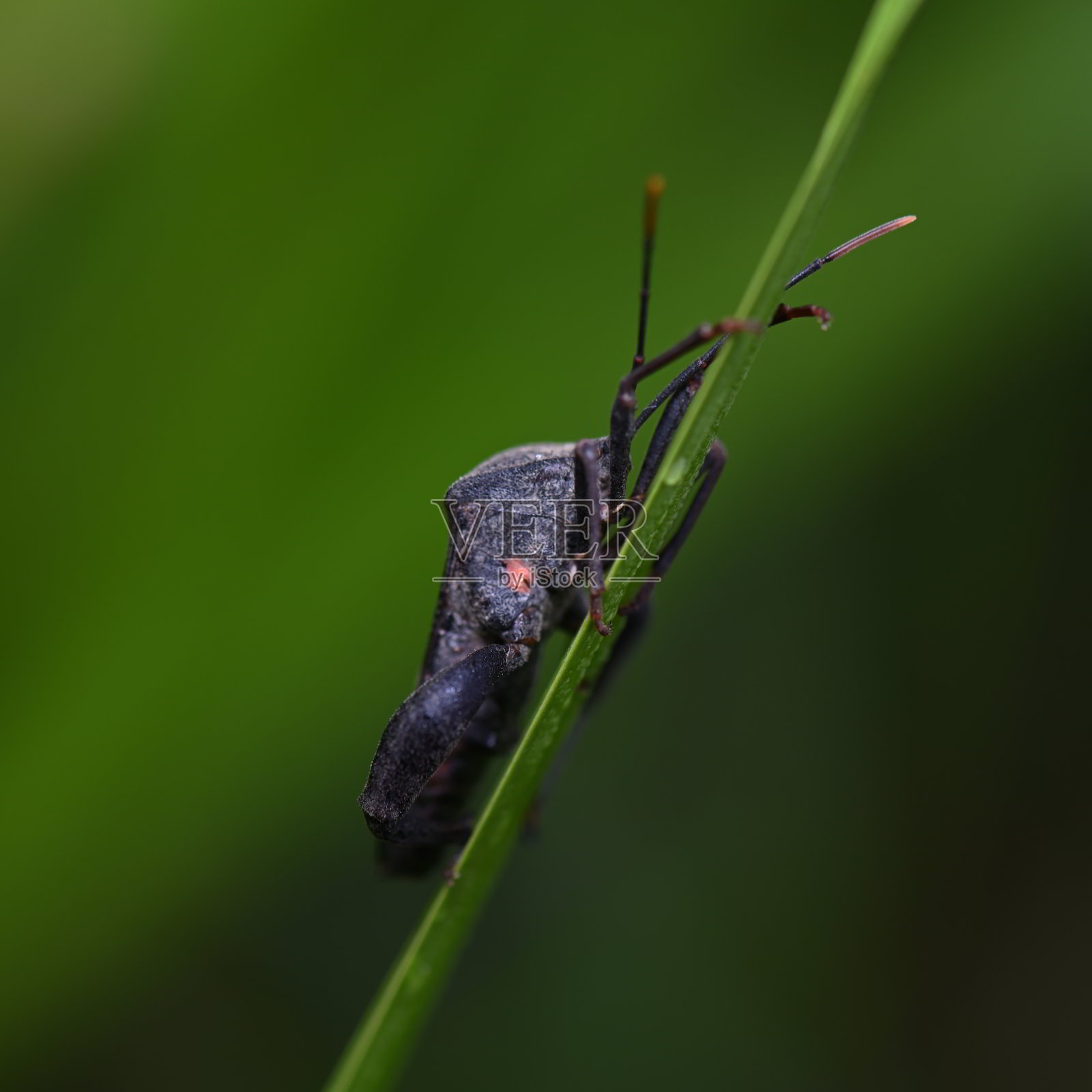 错误照片摄影图片