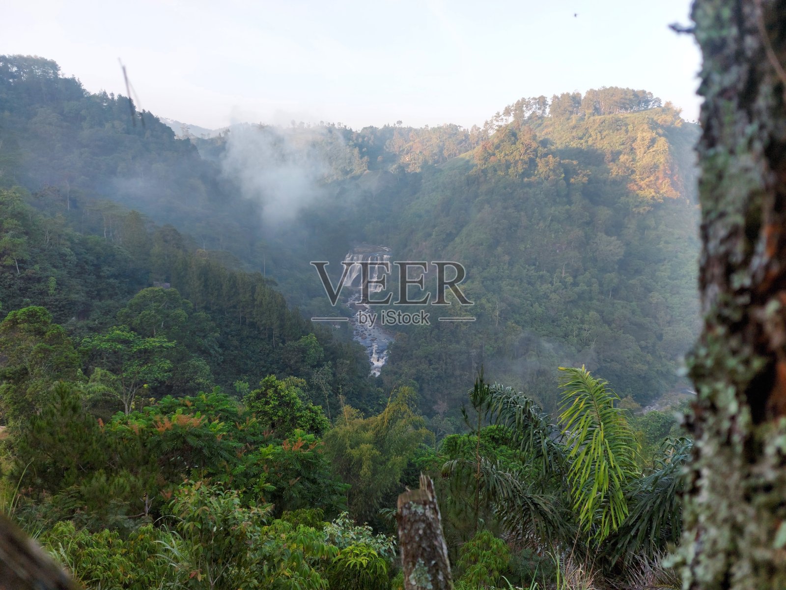 森林中的瀑布照片摄影图片