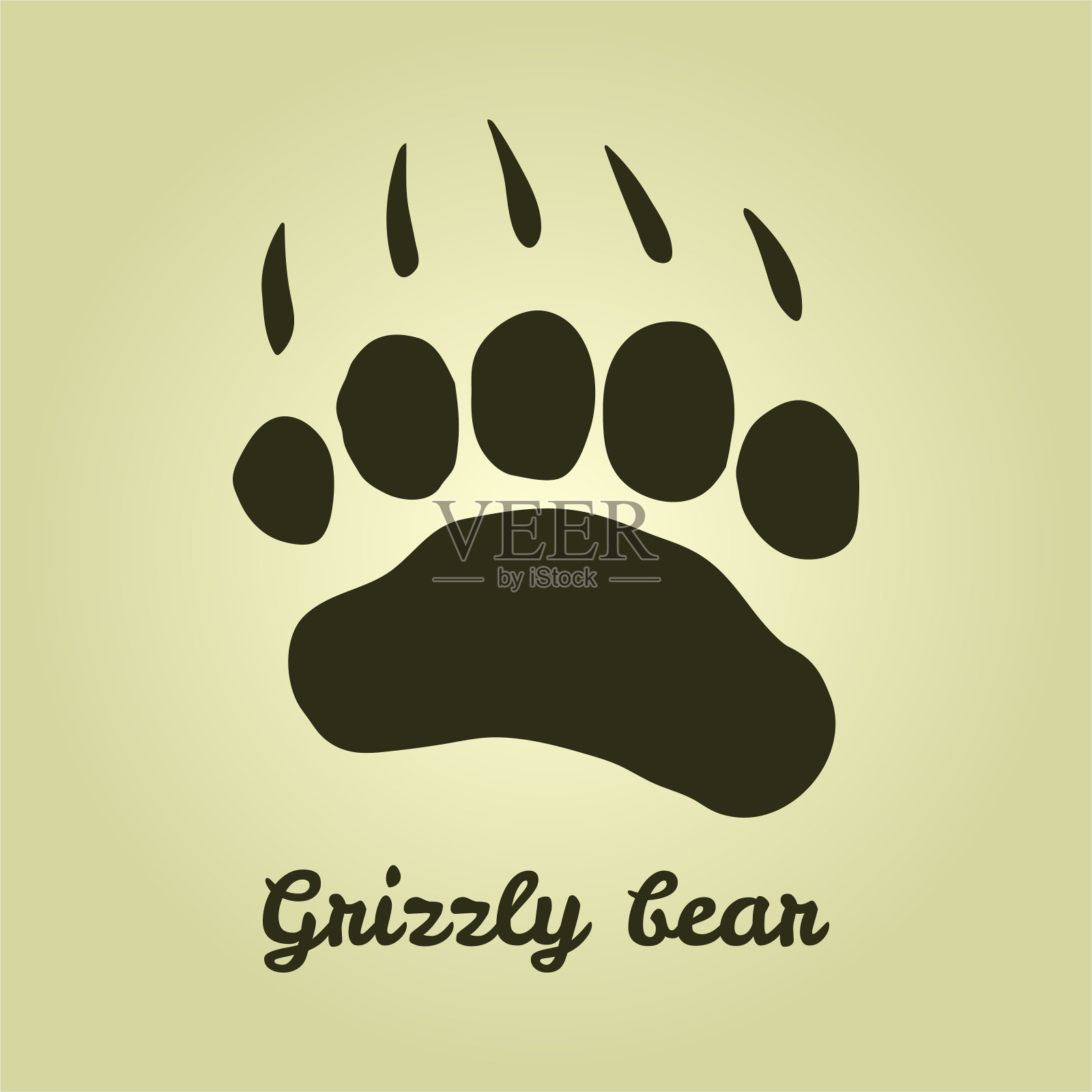 熊的踪迹。一个熊爪印。灰熊踪迹野生动物,狩猎。插画图片素材