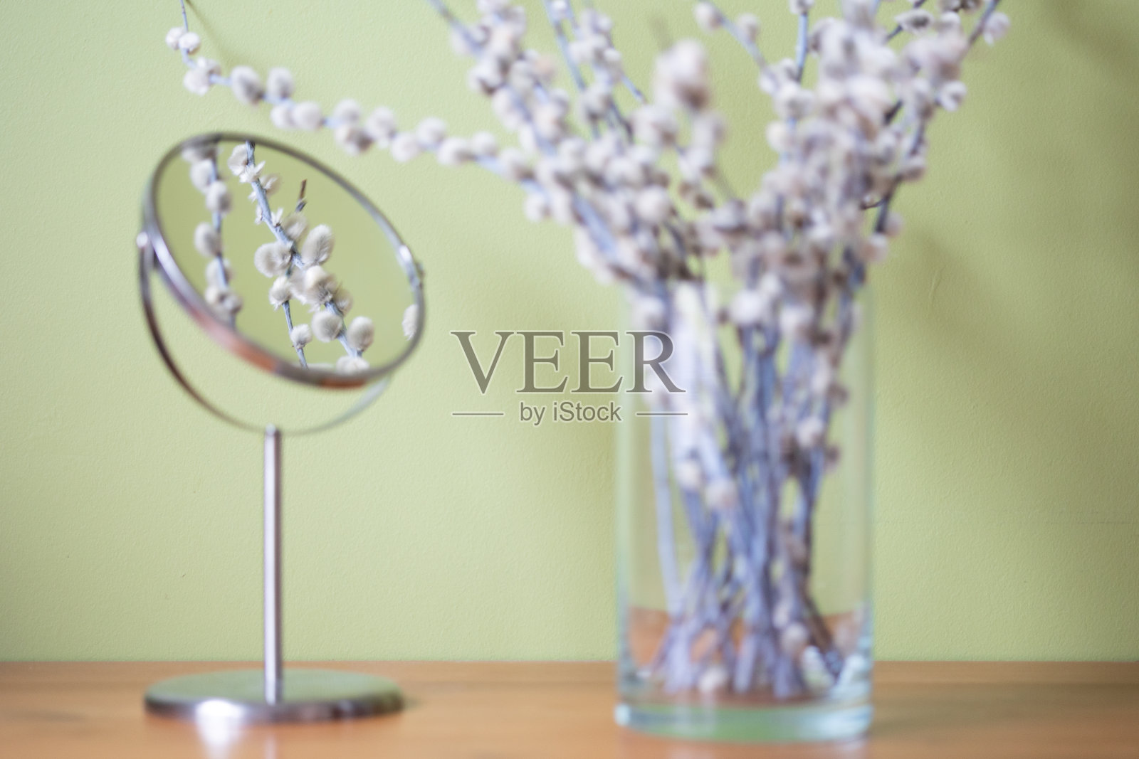 柳絮映在镜子里照片摄影图片