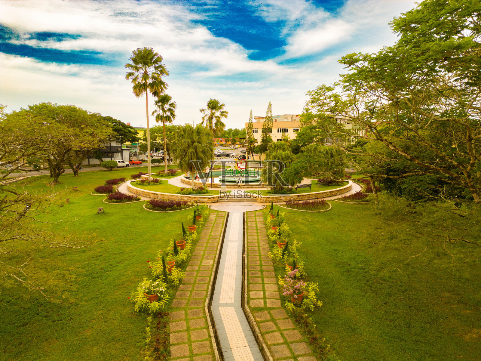 国王大道照片摄影图片