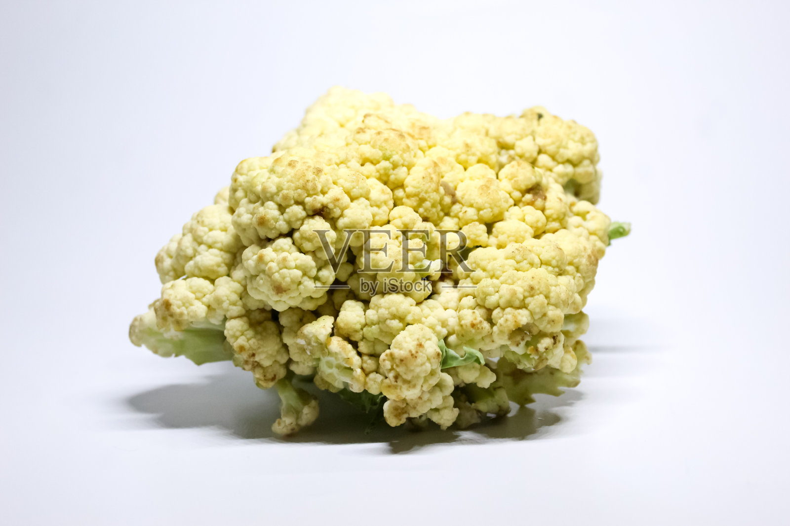 生菜花,孤立在白色背景上照片摄影图片