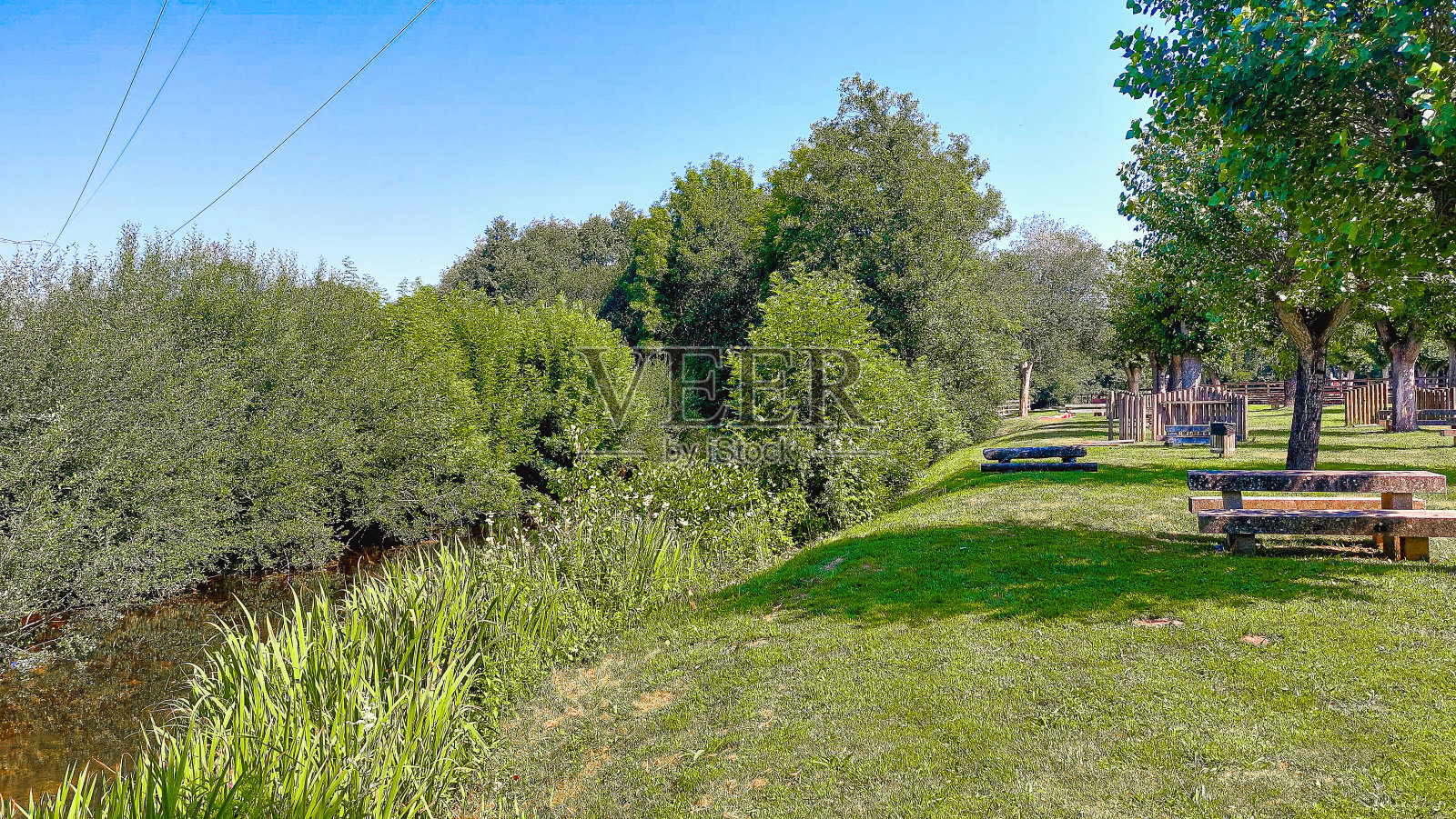 绿色的草地照片摄影图片