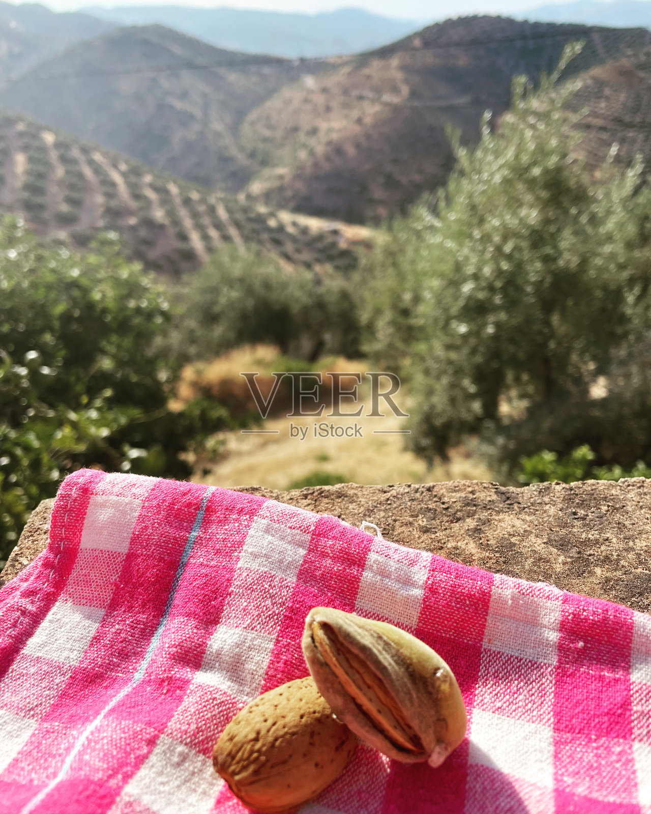 新鲜的杏仁照片摄影图片