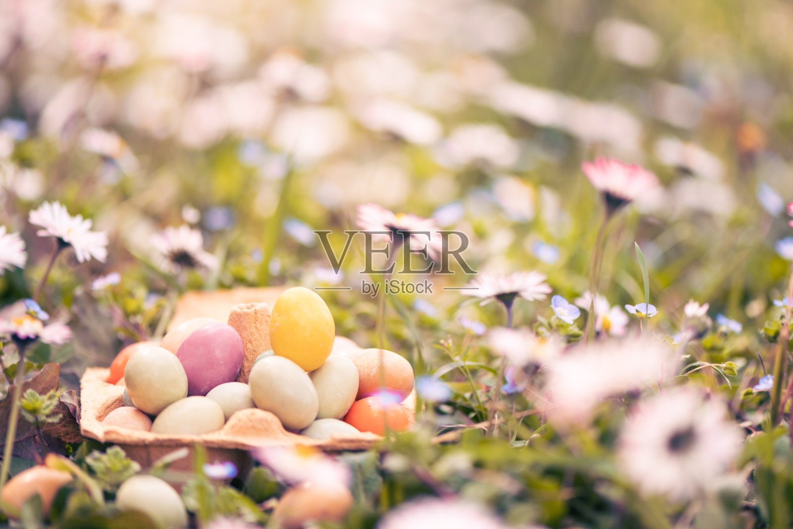 寻找复活节彩蛋照片摄影图片