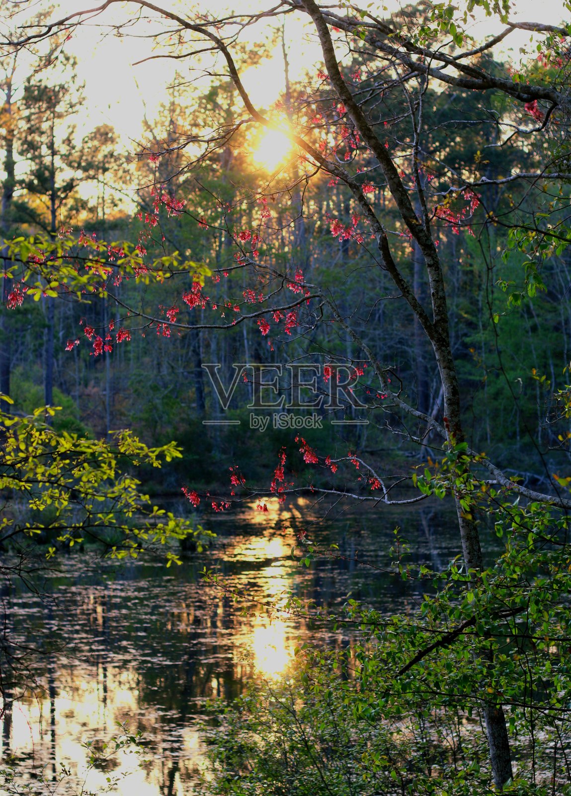 日落照片摄影图片