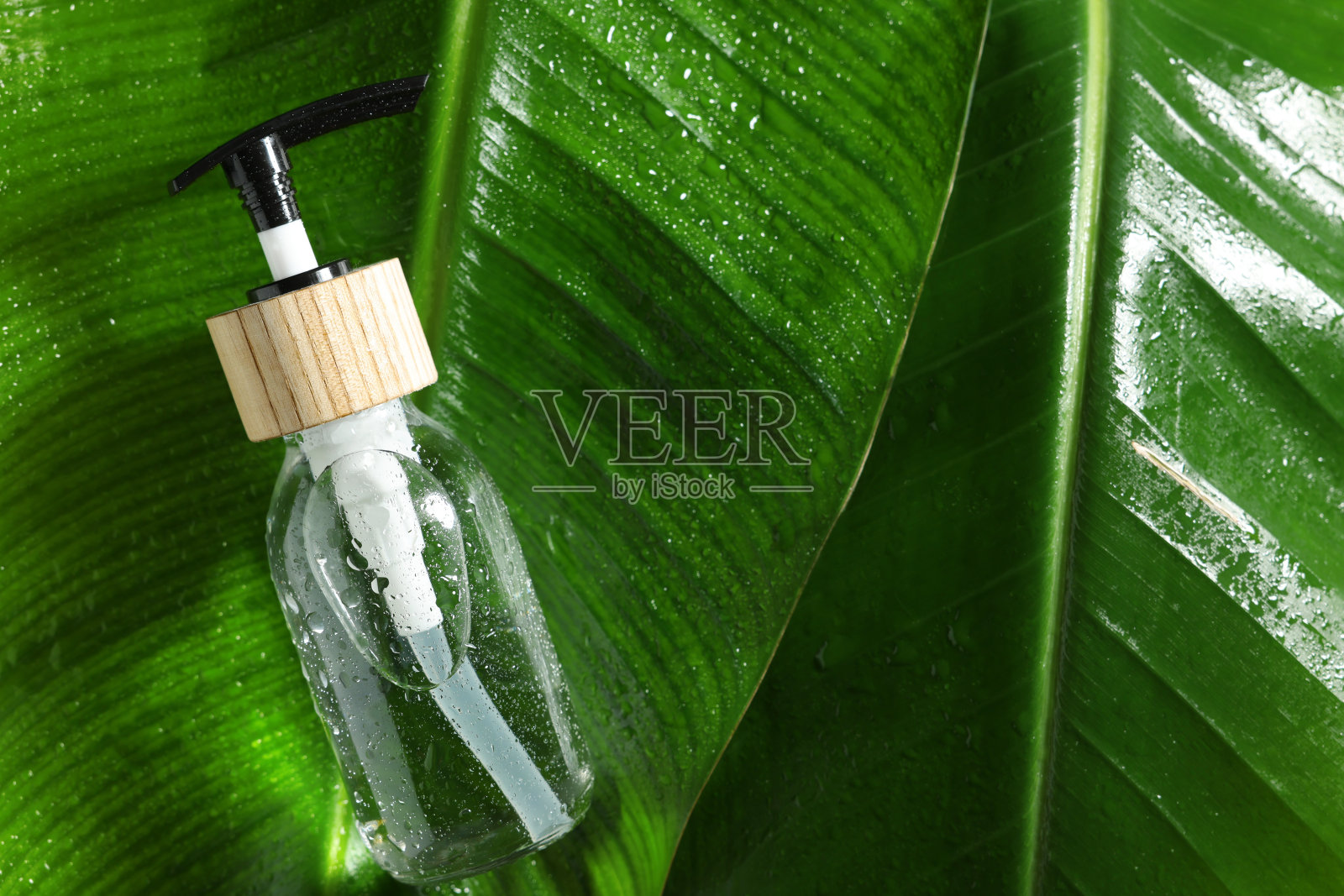 一瓶化妆品湿绿叶,俯视图。文本空间照片摄影图片