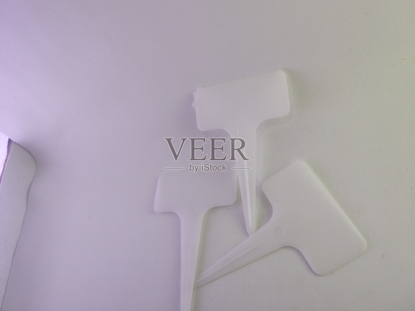 树或植物,植物的名字标签照片摄影图片