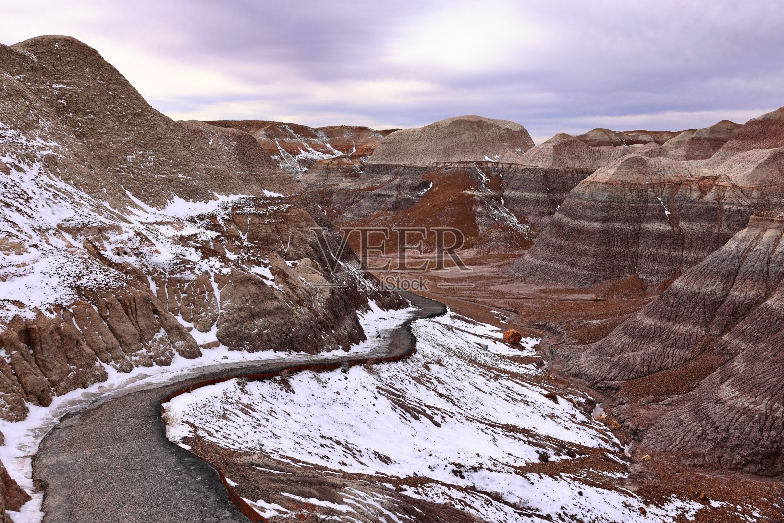 蓝梅萨风景步道,石化森林国家公园,照片摄影图片
