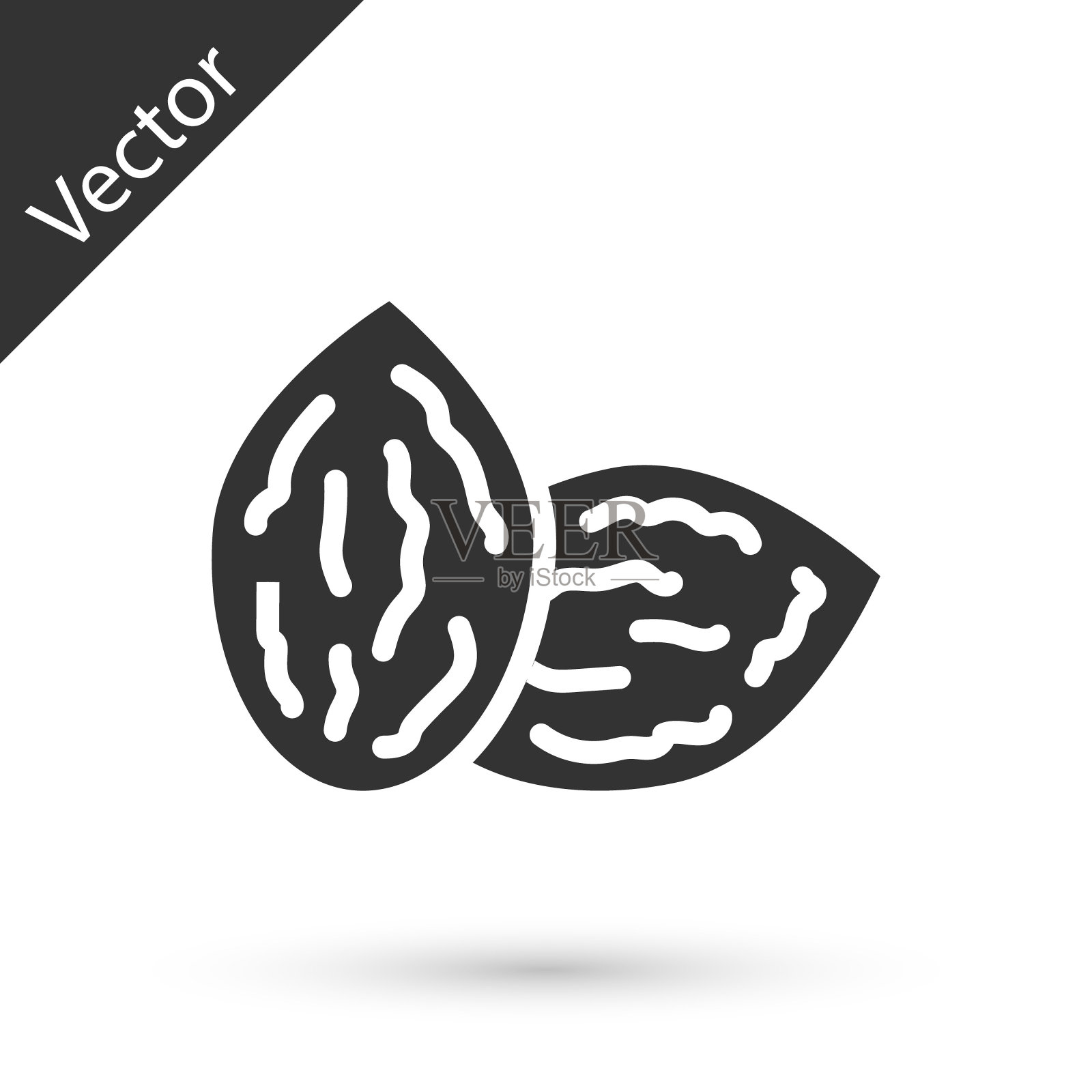 灰色种子的特定植物图标孤立在白色背景。向量插画图片素材