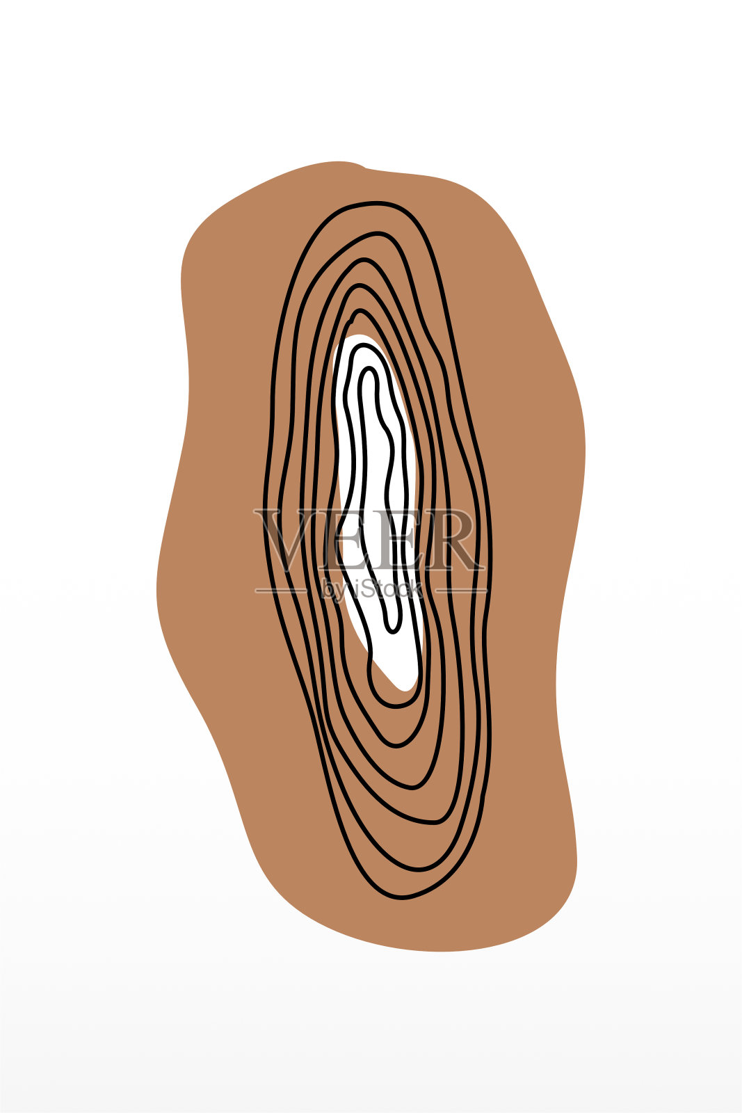 中性抽象波西米亚墙装饰插画图片素材