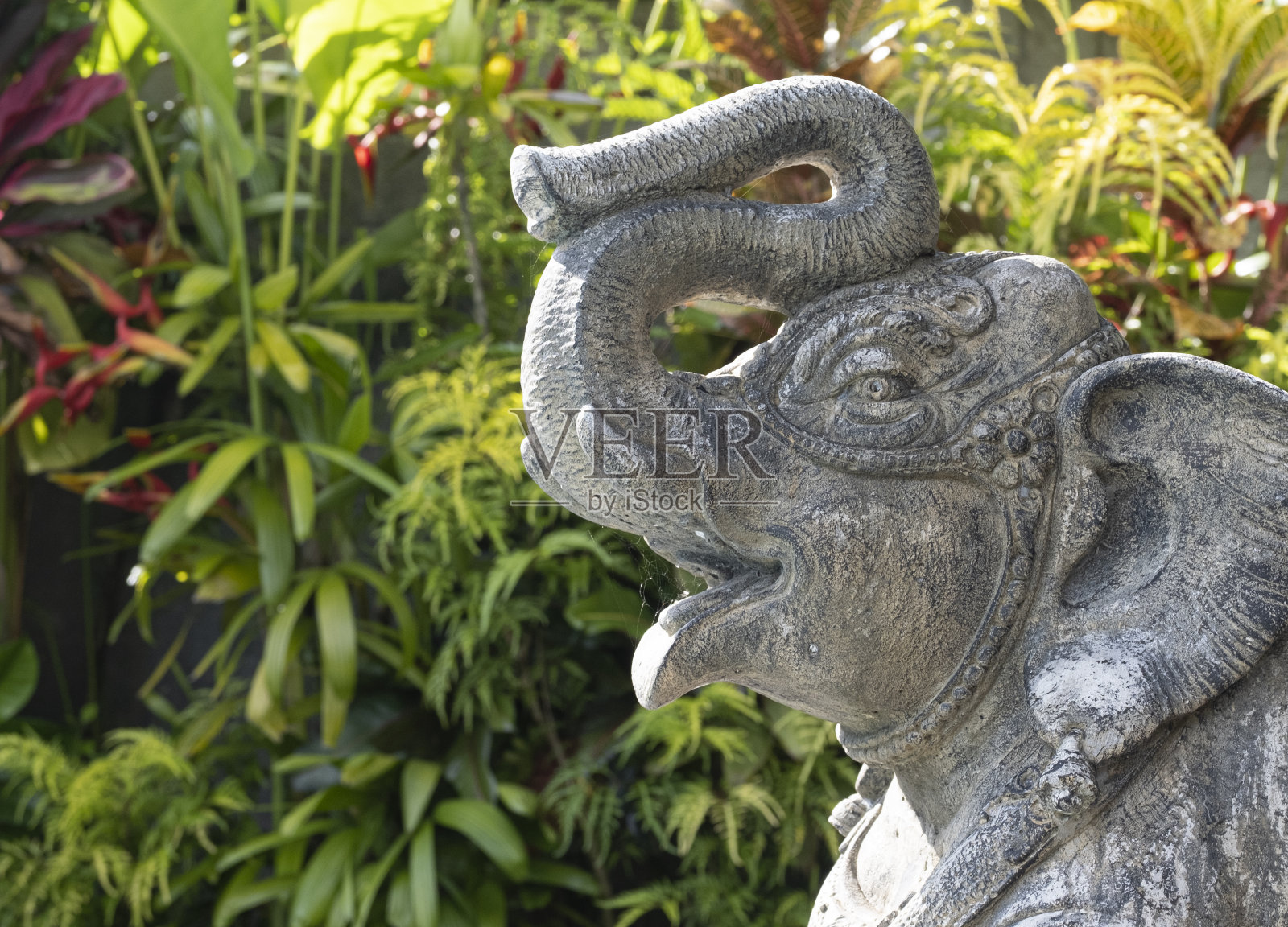 石象景观点缀和热带植物照片摄影图片