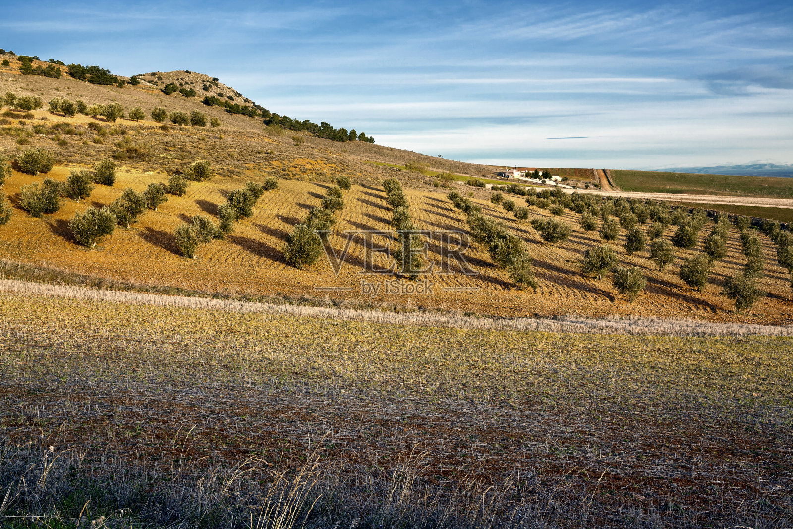 洛马斯的照片摄影图片