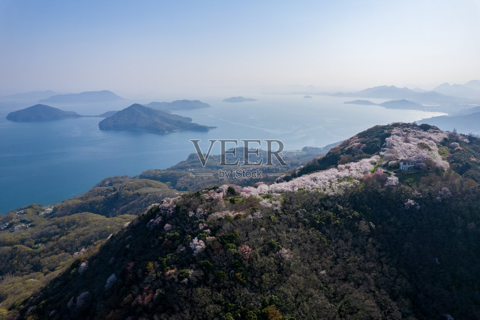 香川县三代市登山的樱花和濑户内海照片摄影图片