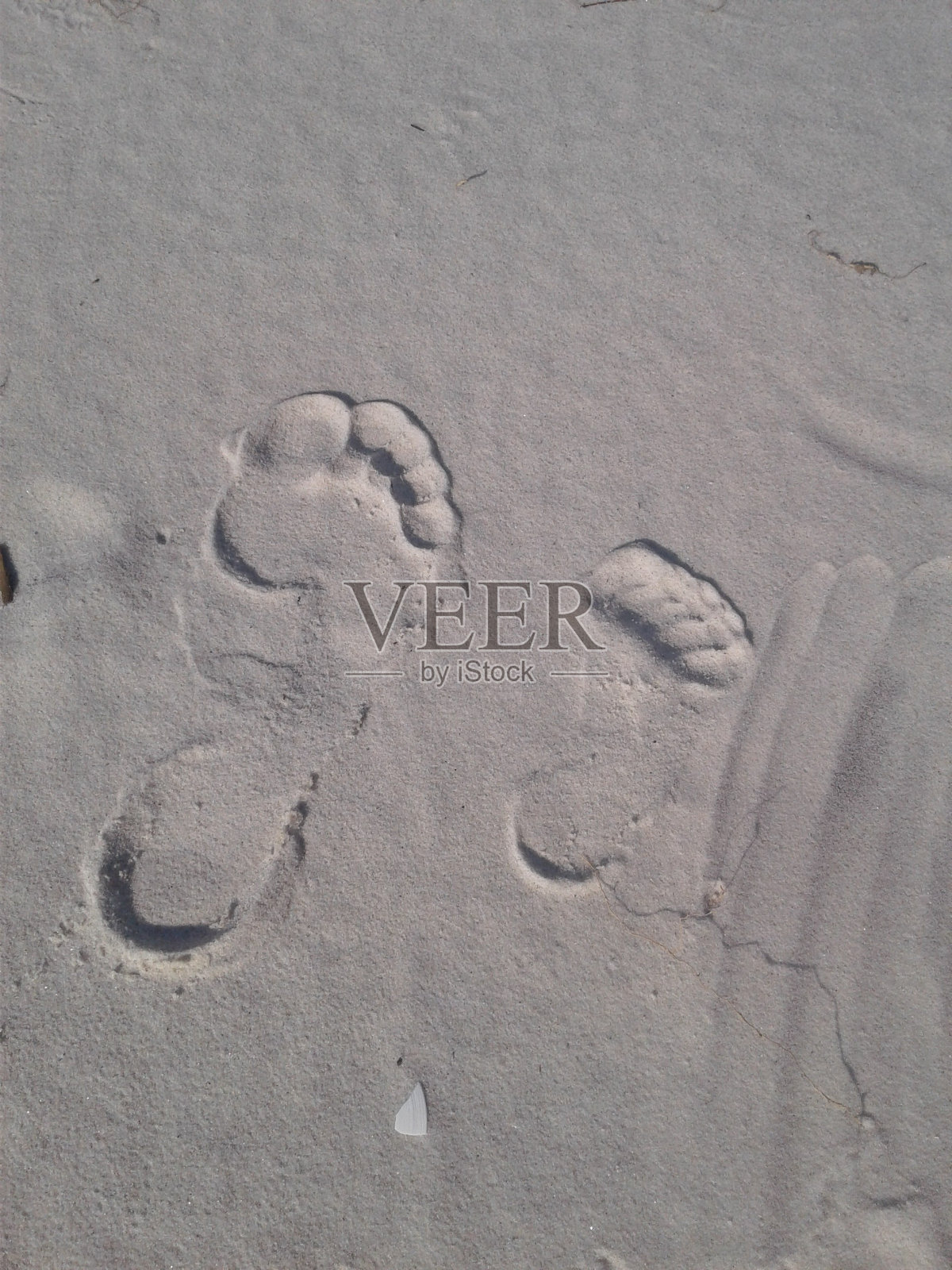 桑迪的脚趾。照片摄影图片