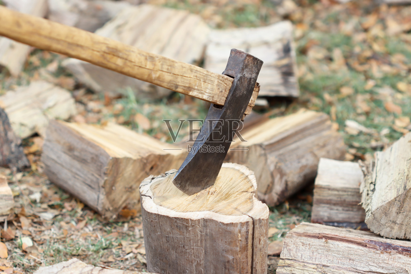 斧木柴火树自然照片摄影图片