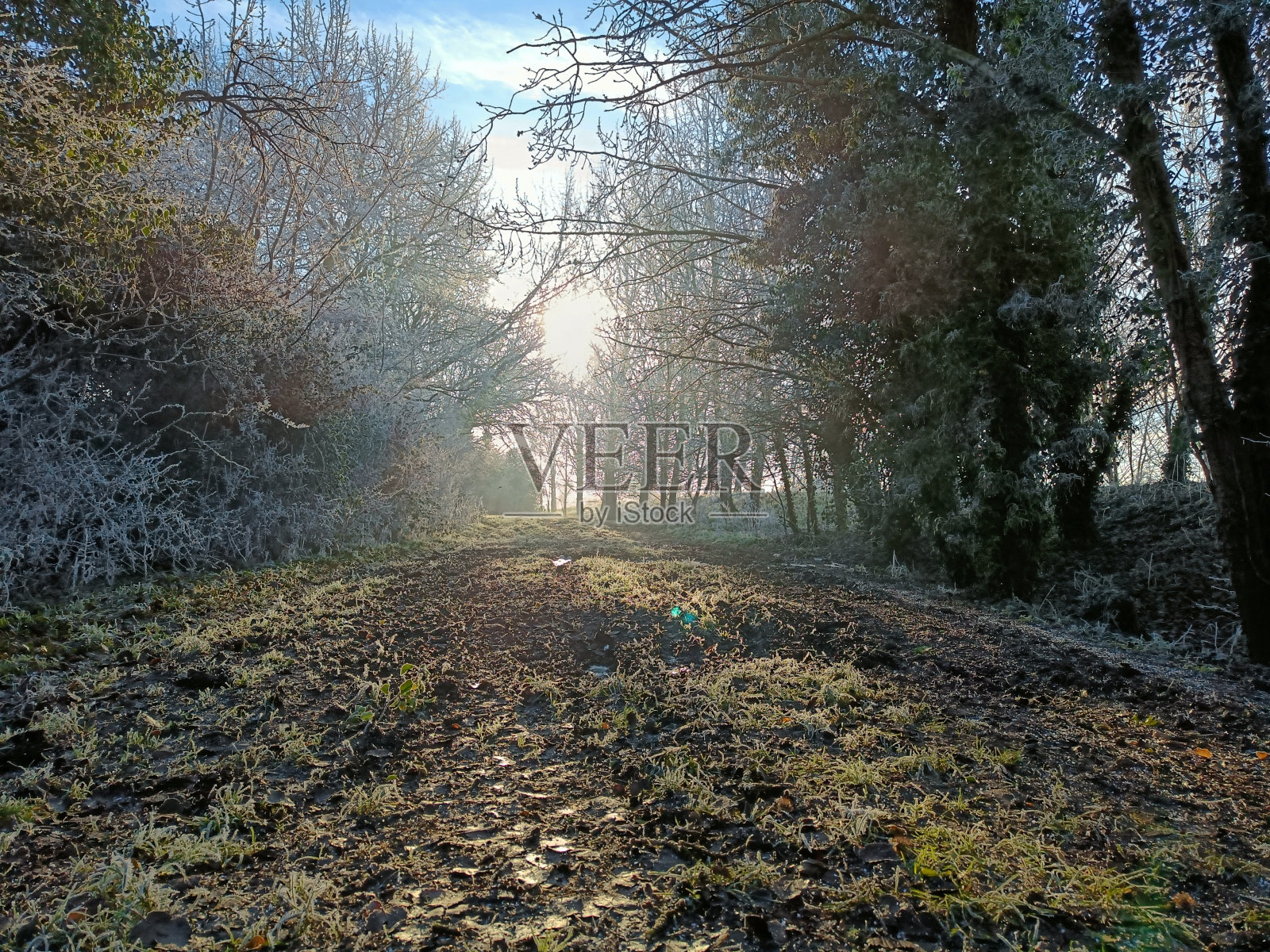 雾霜照片摄影图片