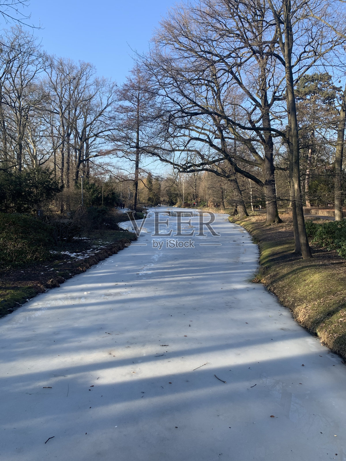 自然照片摄影图片