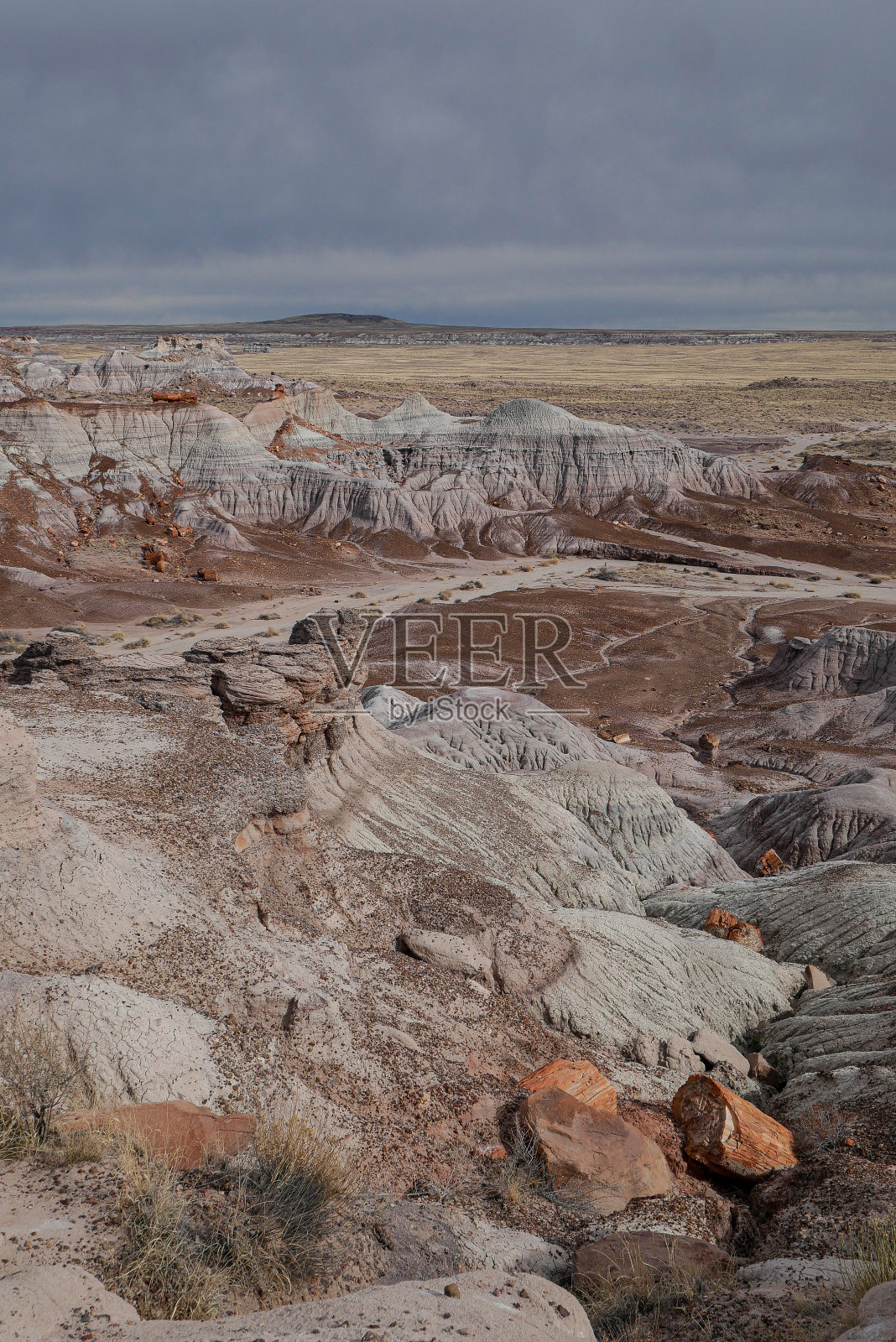 石化森林国家公园的蓝色台面(亚利桑那州)照片摄影图片