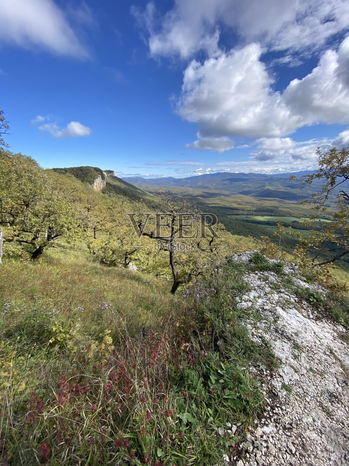 山区的景观,绿色的山坡,树木,春天的花朵和蓝天白云。照片摄影图片