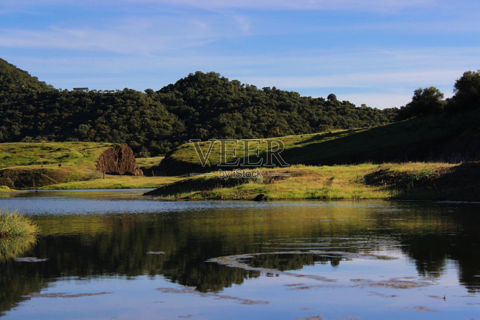 湖泊和草地的景观视图照片摄影图片