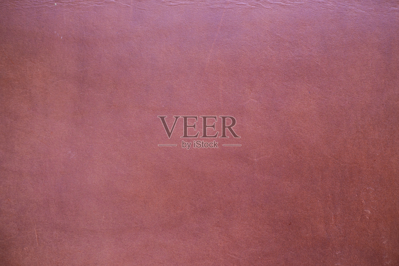 红棕色真牛蔬菜皮革照片摄影图片